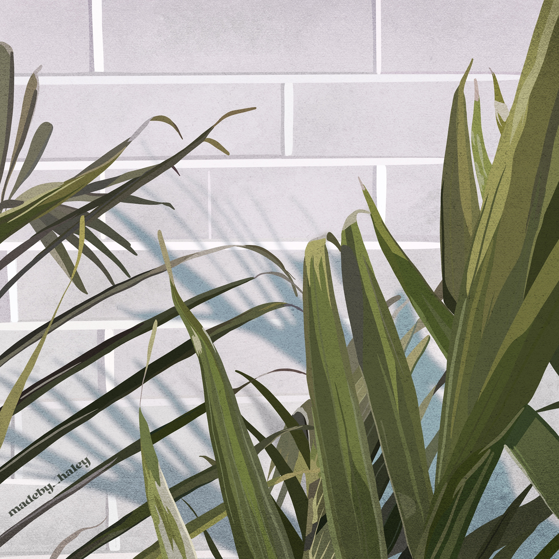 Plant Illustration