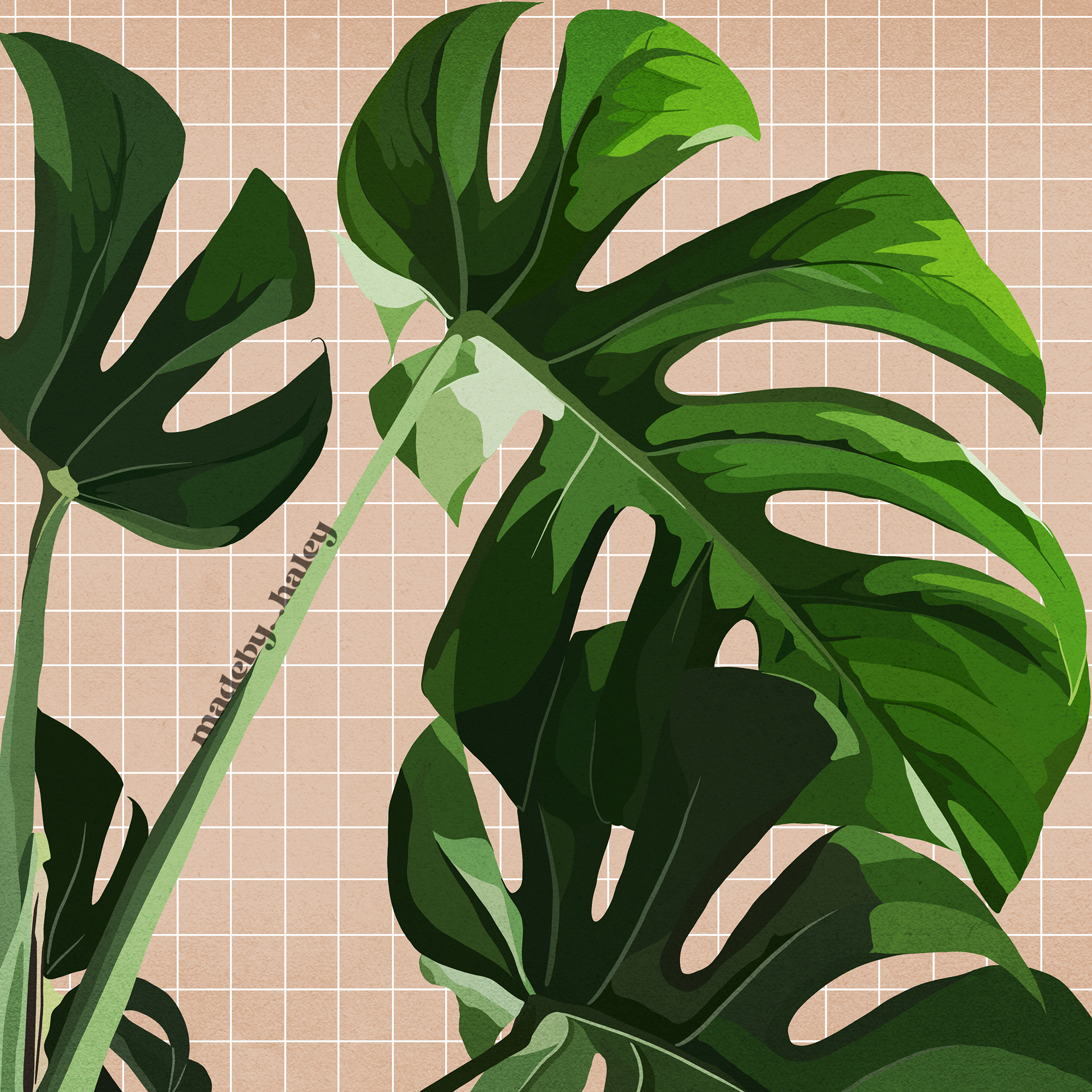 Plant Art
