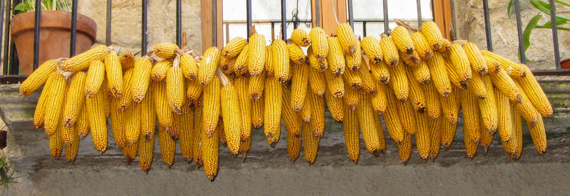 Horta de Sant Joan