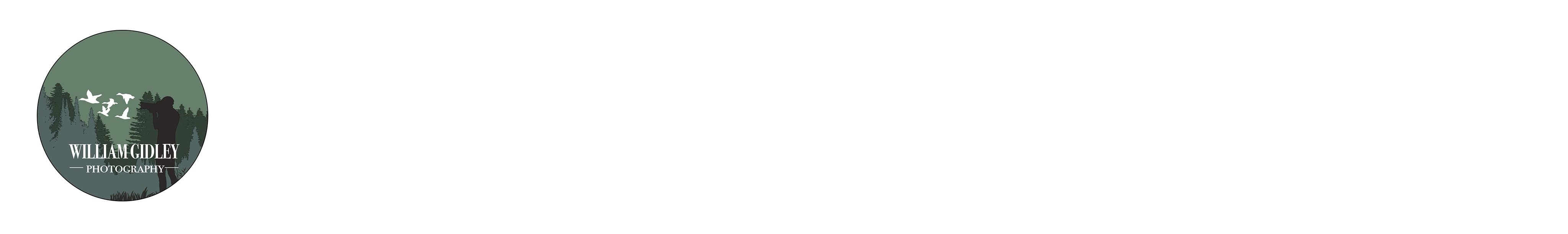 William Gidley