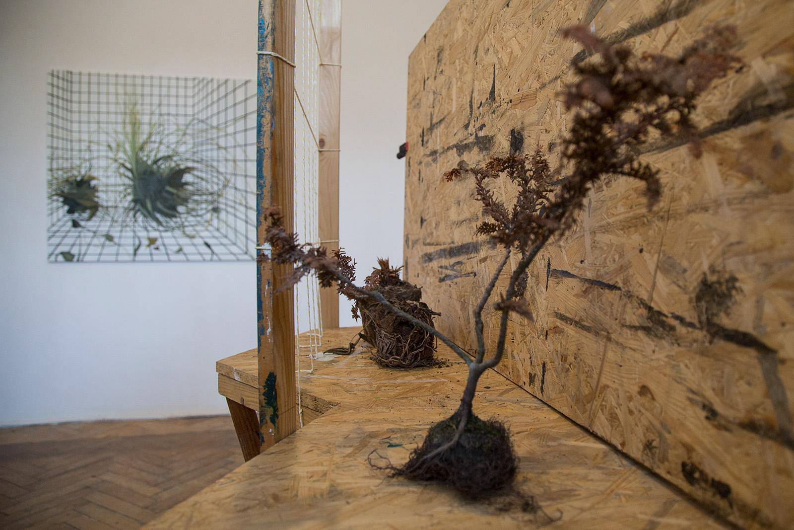 fot. Łukasz Dziedzic