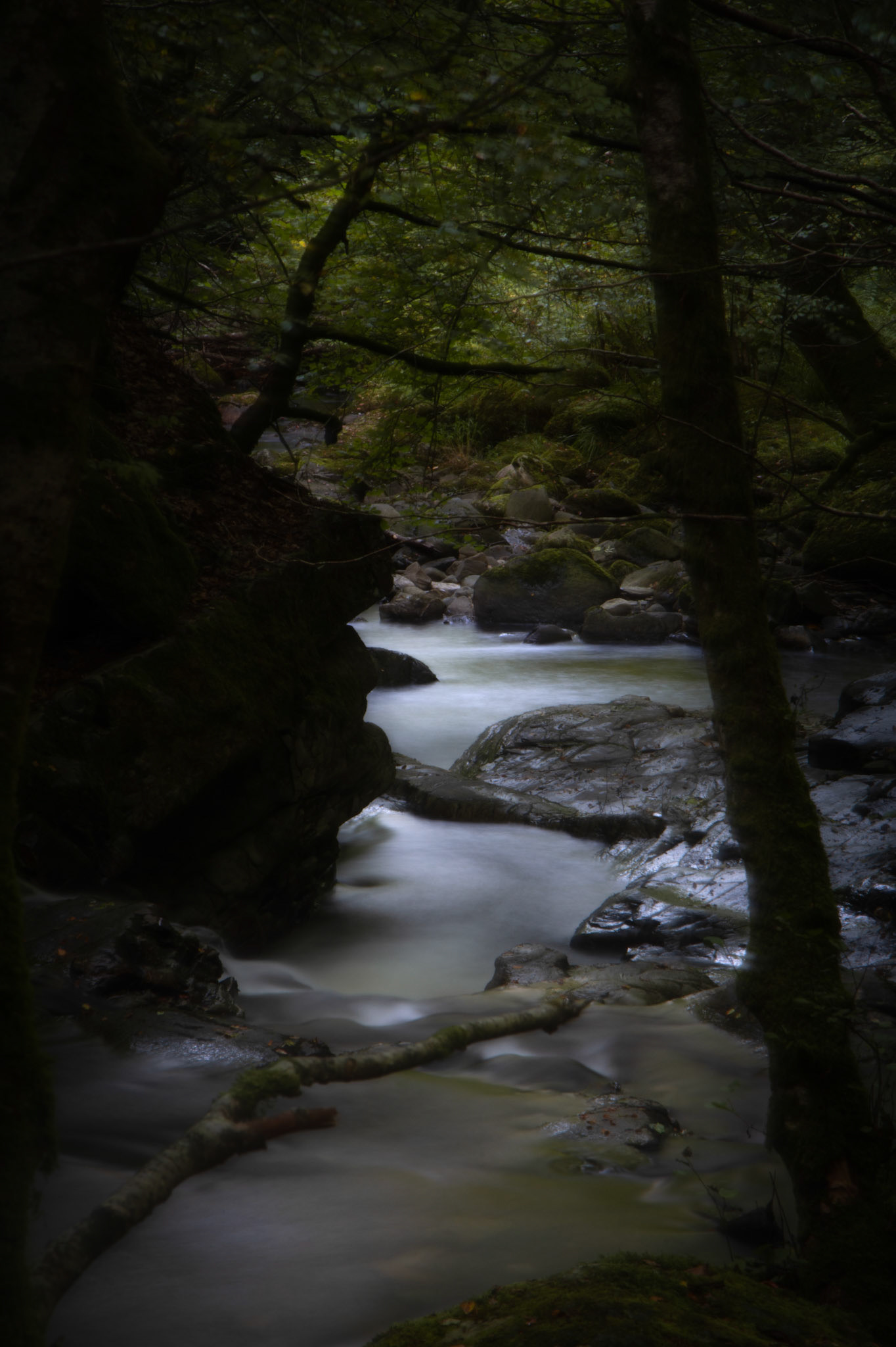 Birks of Aberfeldy, Scotland, 2024.
