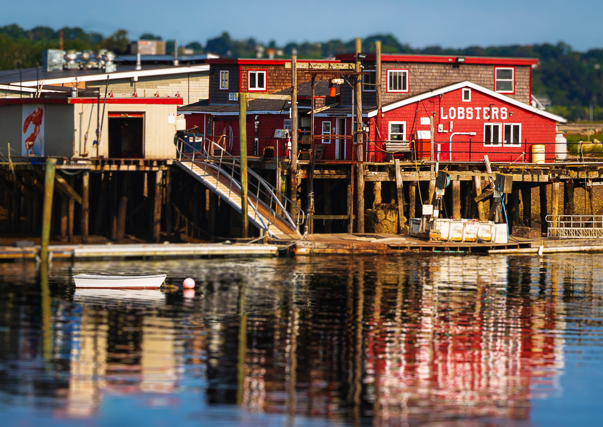 Maine Harbor
