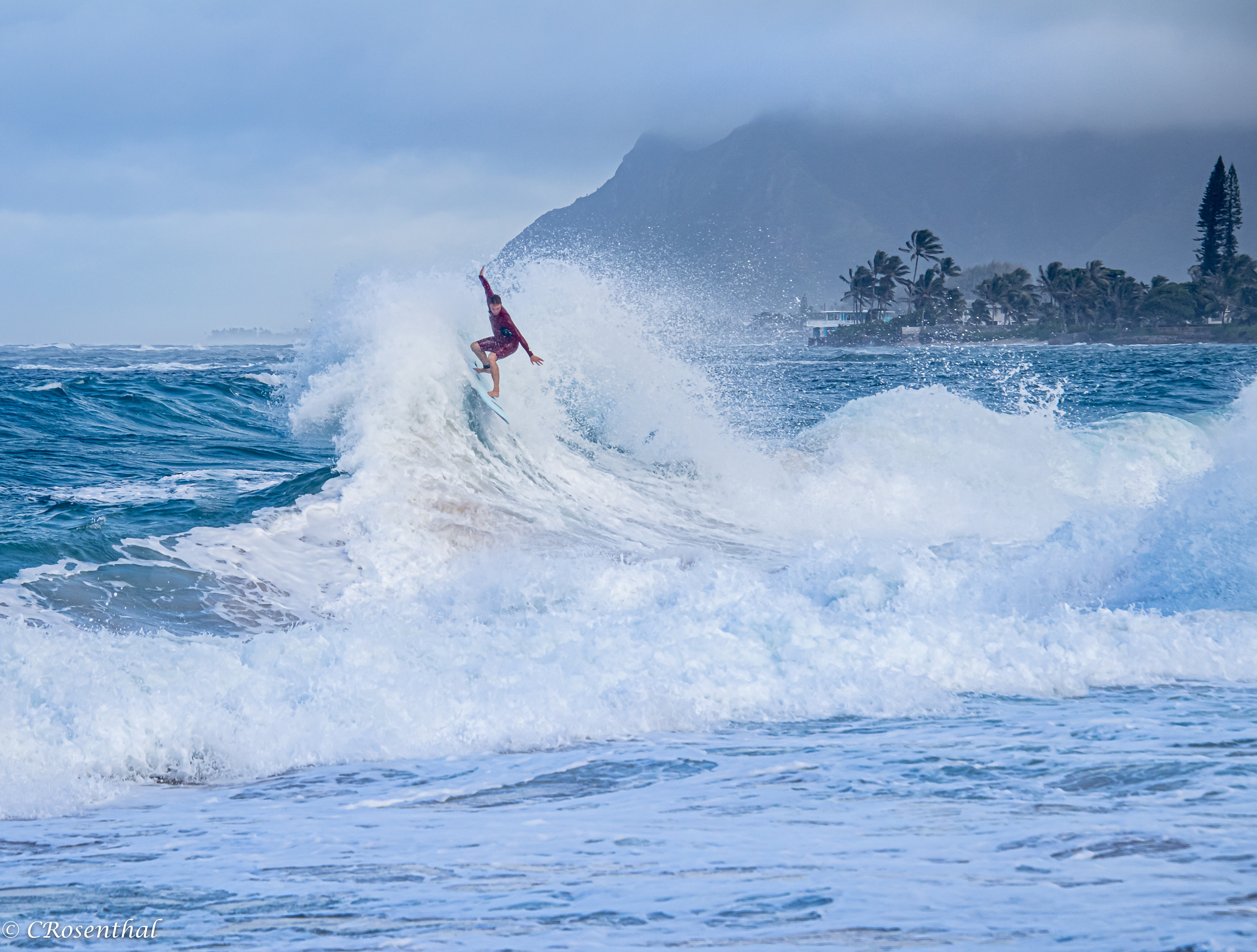 Surf's Up Pounders Beach North Shore