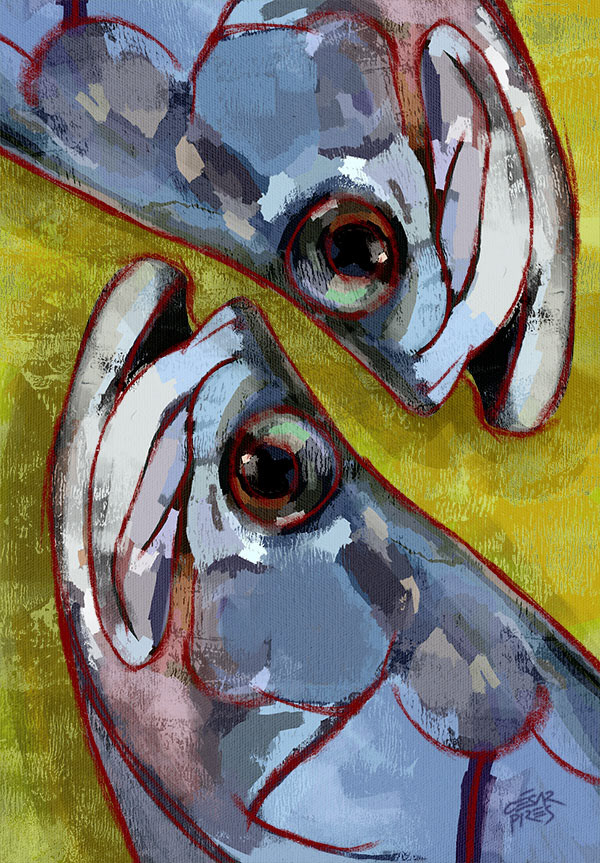 PEIXE 5