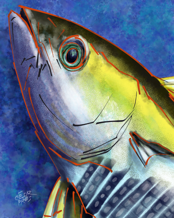 PEIXE 2