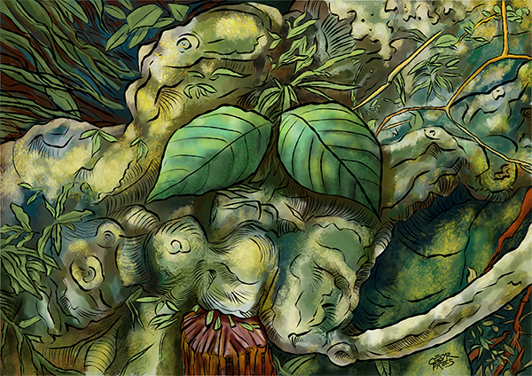 AYAHUASCA 1
