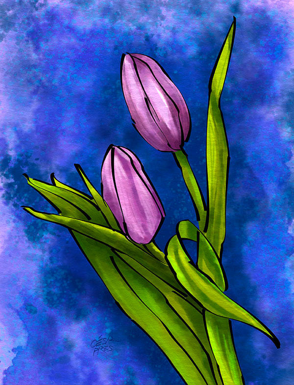 TULIPA 1