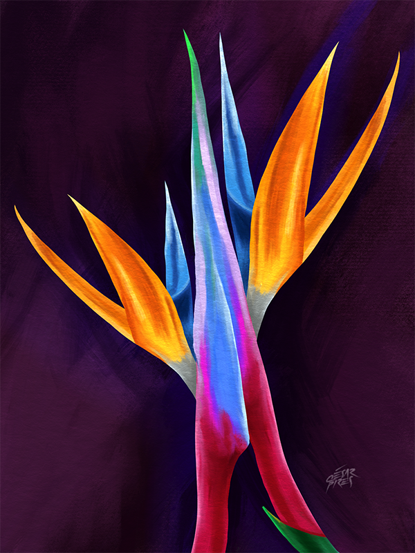 STRELITZIA