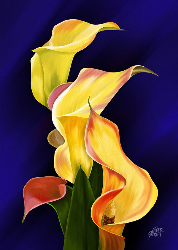 FLORES VI
