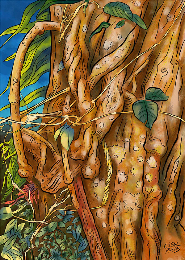 AYAHUASCA 2