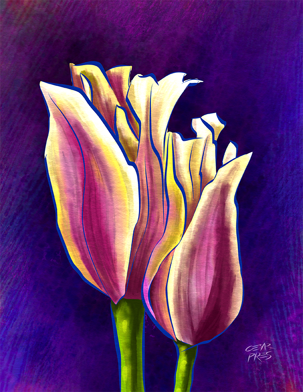 FLOR 2