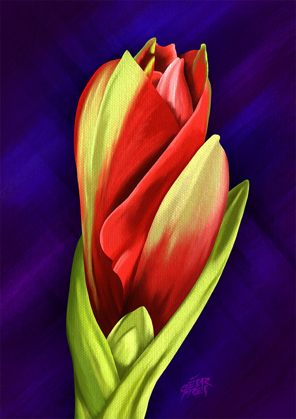 BOTÃO DE FLOR