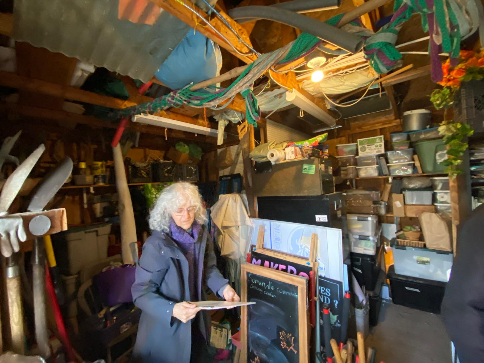 Inside seed storage shed