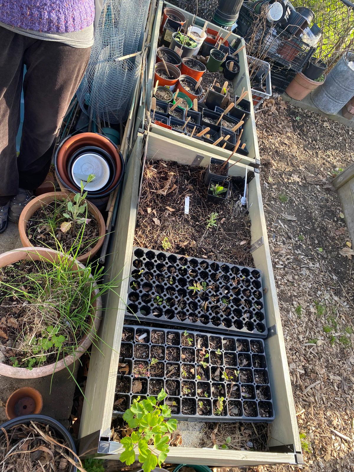 Mini garden