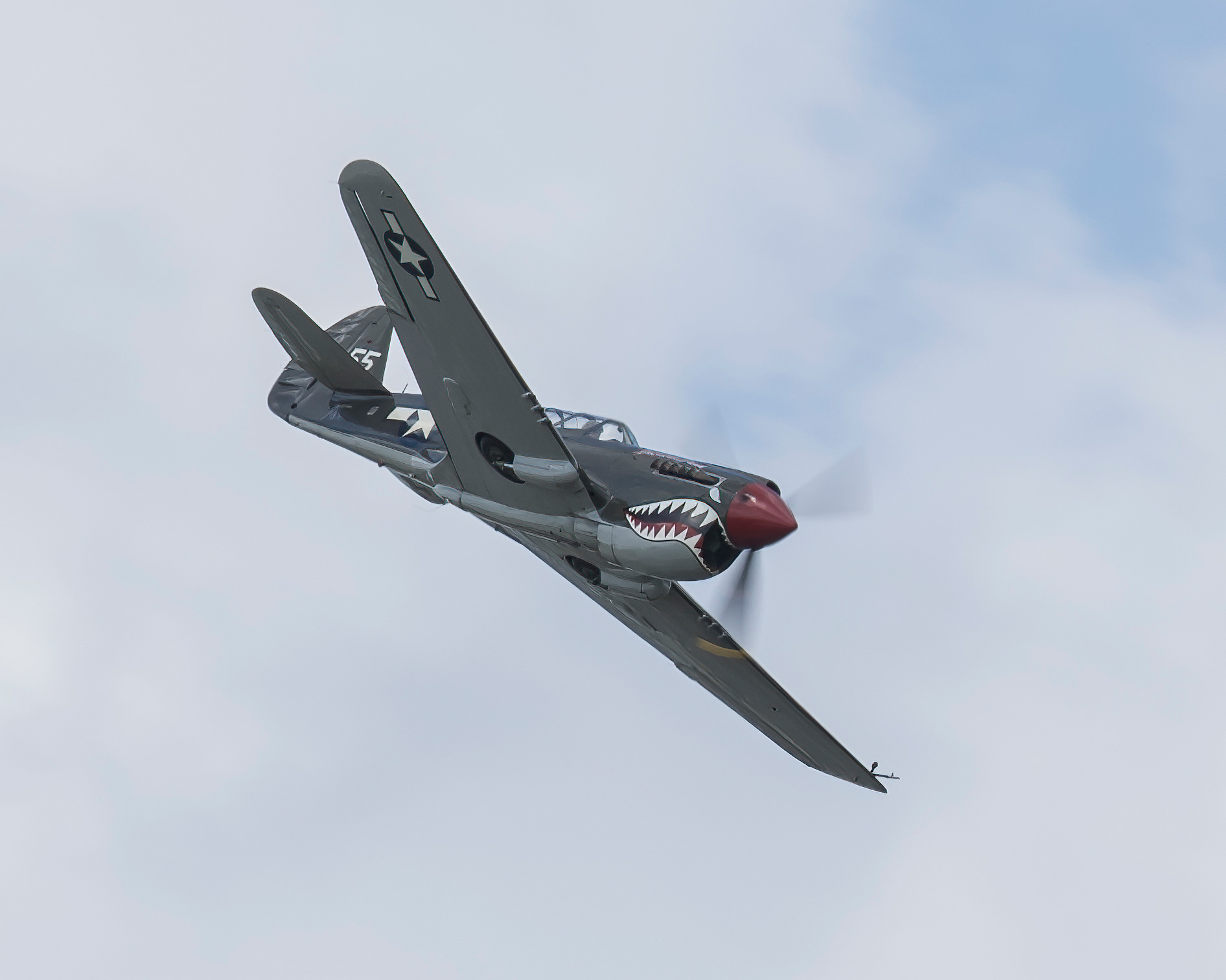 Curtiss P-40 Warhawk - American Dream