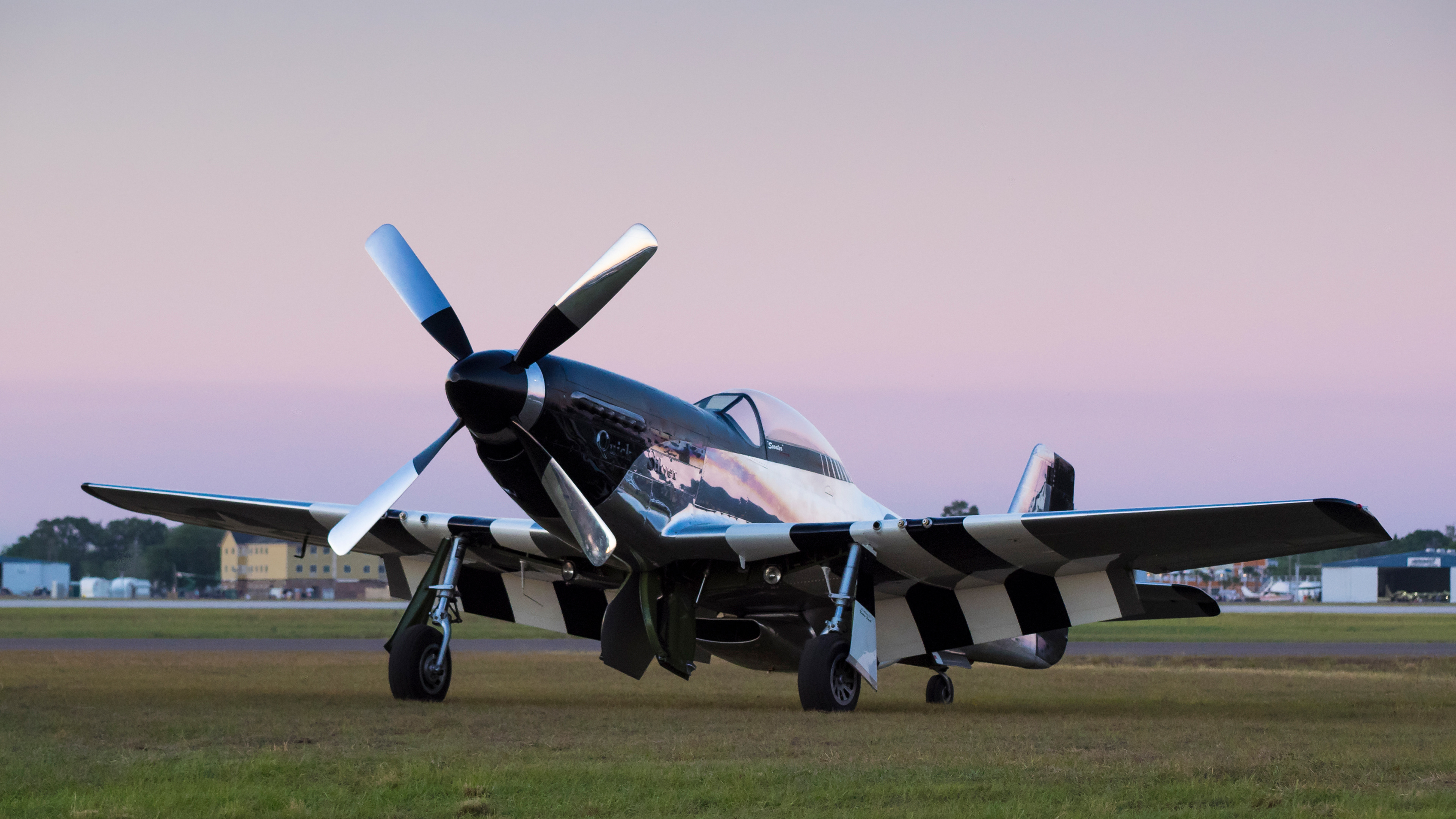 P-51 Mustang - QuickSilver