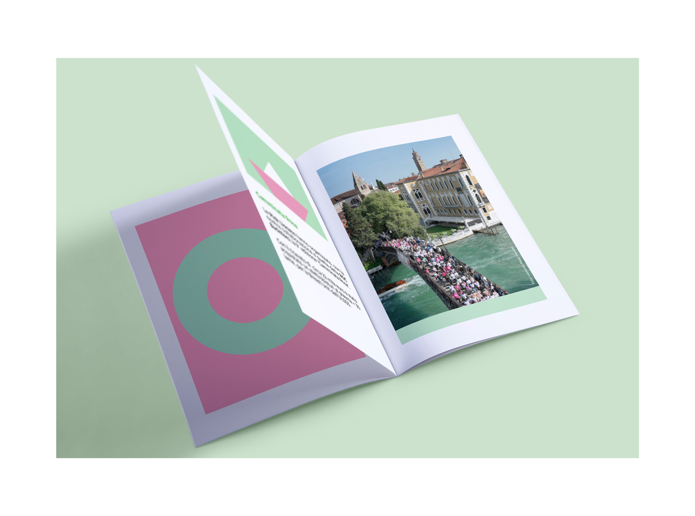 David Gil, Avapo Venezia, Bilancio Sociale, 2024 - Pagina bilancio, Ottobre Rosa