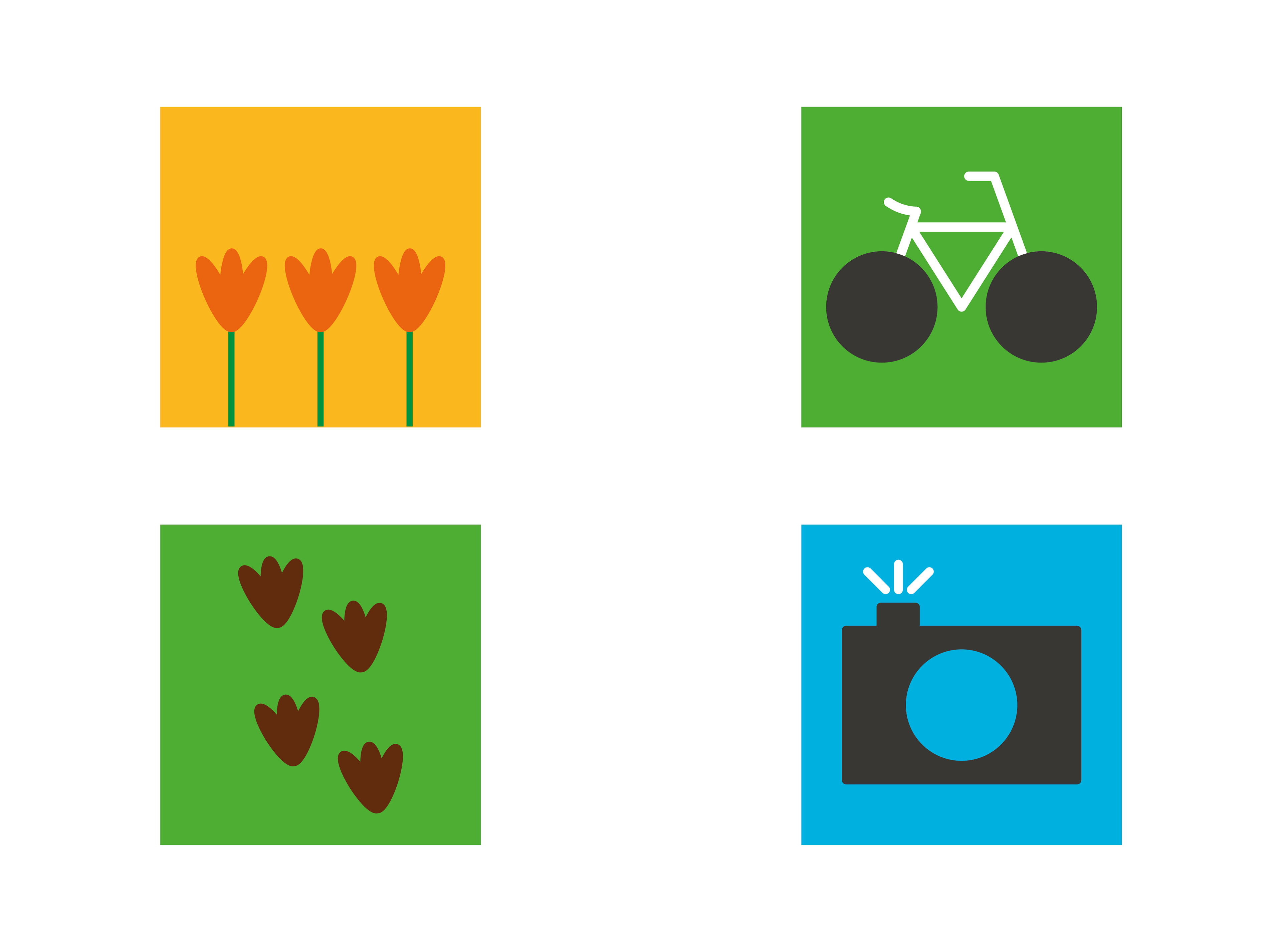 David Gil — Parco Naturale Cervia, Environmental graphics, illustrations for 'memory' graphics