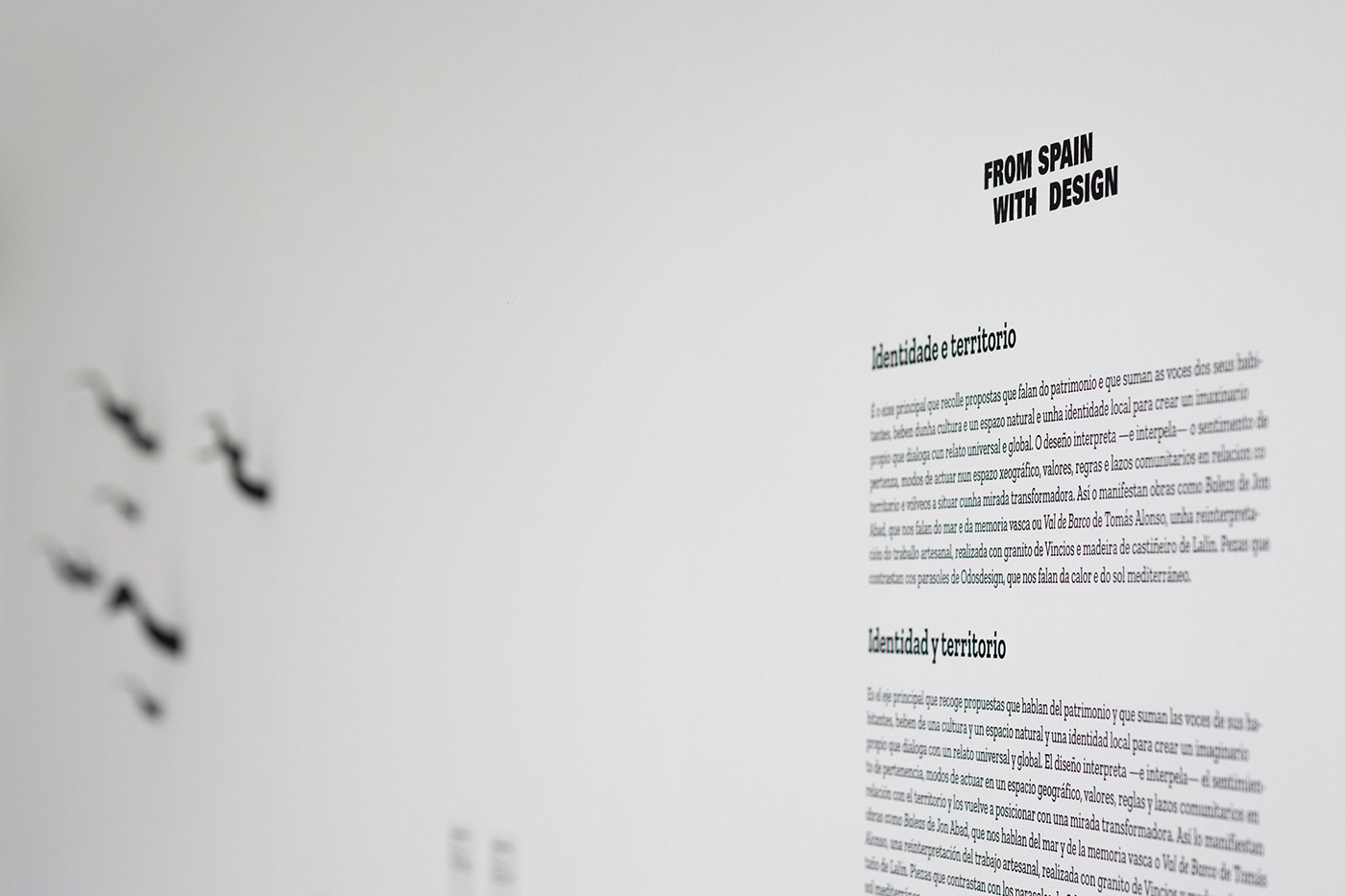 David Gil — FSWD / Identidad y Territorio, CGAC exhibition
