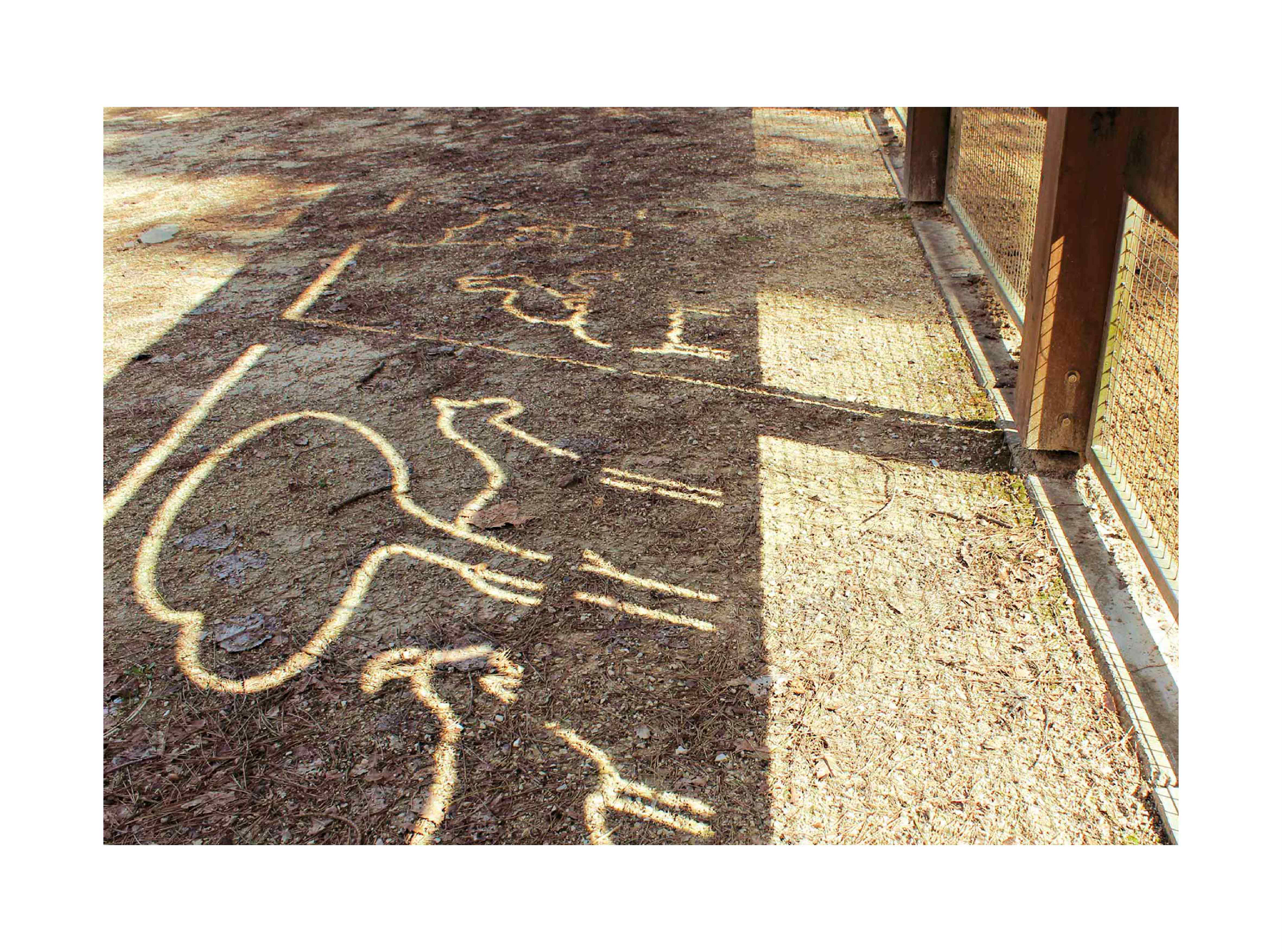 David Gil — Parco Naturale Cervia, Environmental graphics, visual elements reflected on the floor