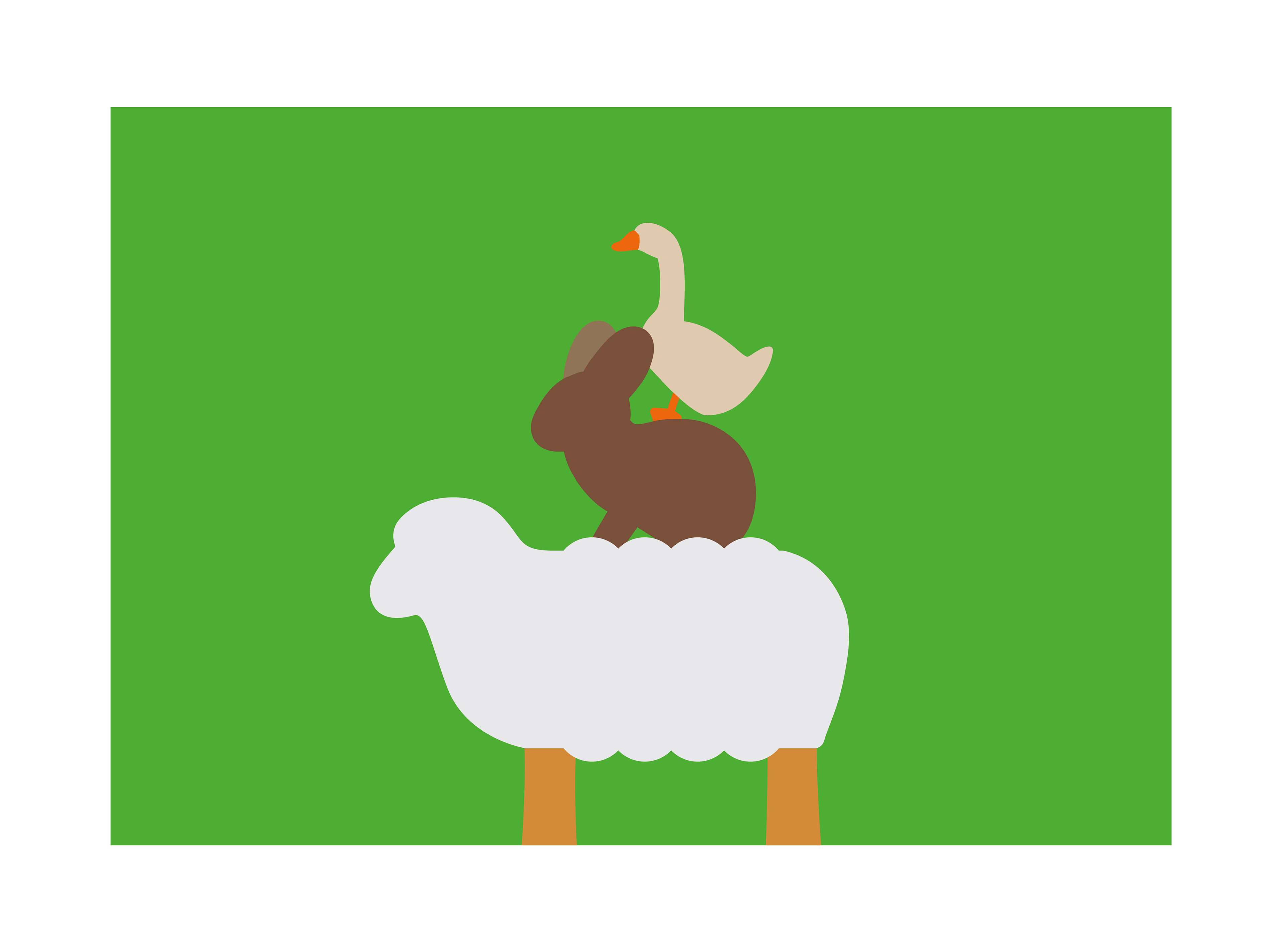 David Gil — Parco Naturale Cervia, Environmental graphics, illustrations for didactic area