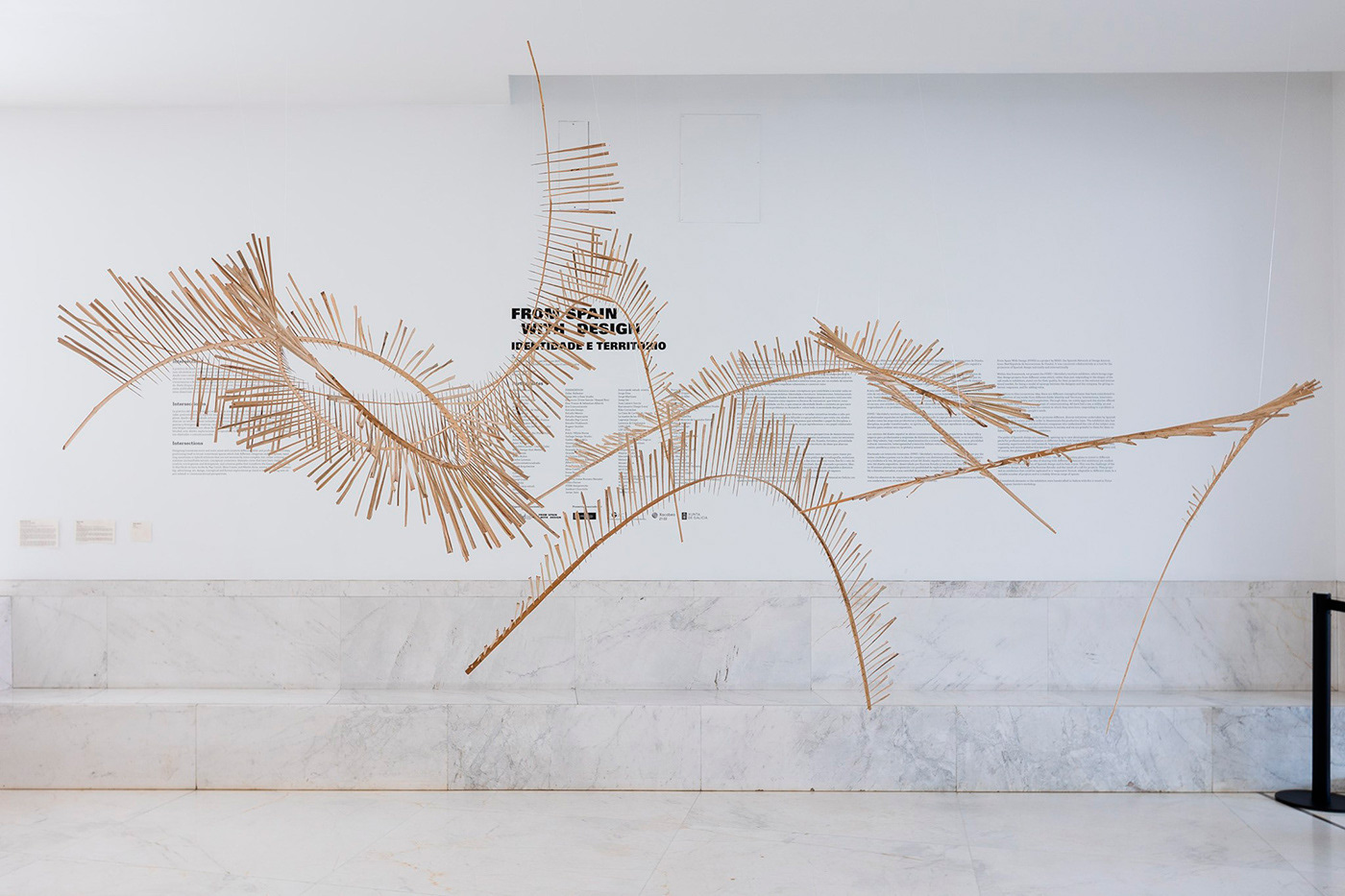David Gil — FSWD / Identidad y Territorio, CGAC exhibition