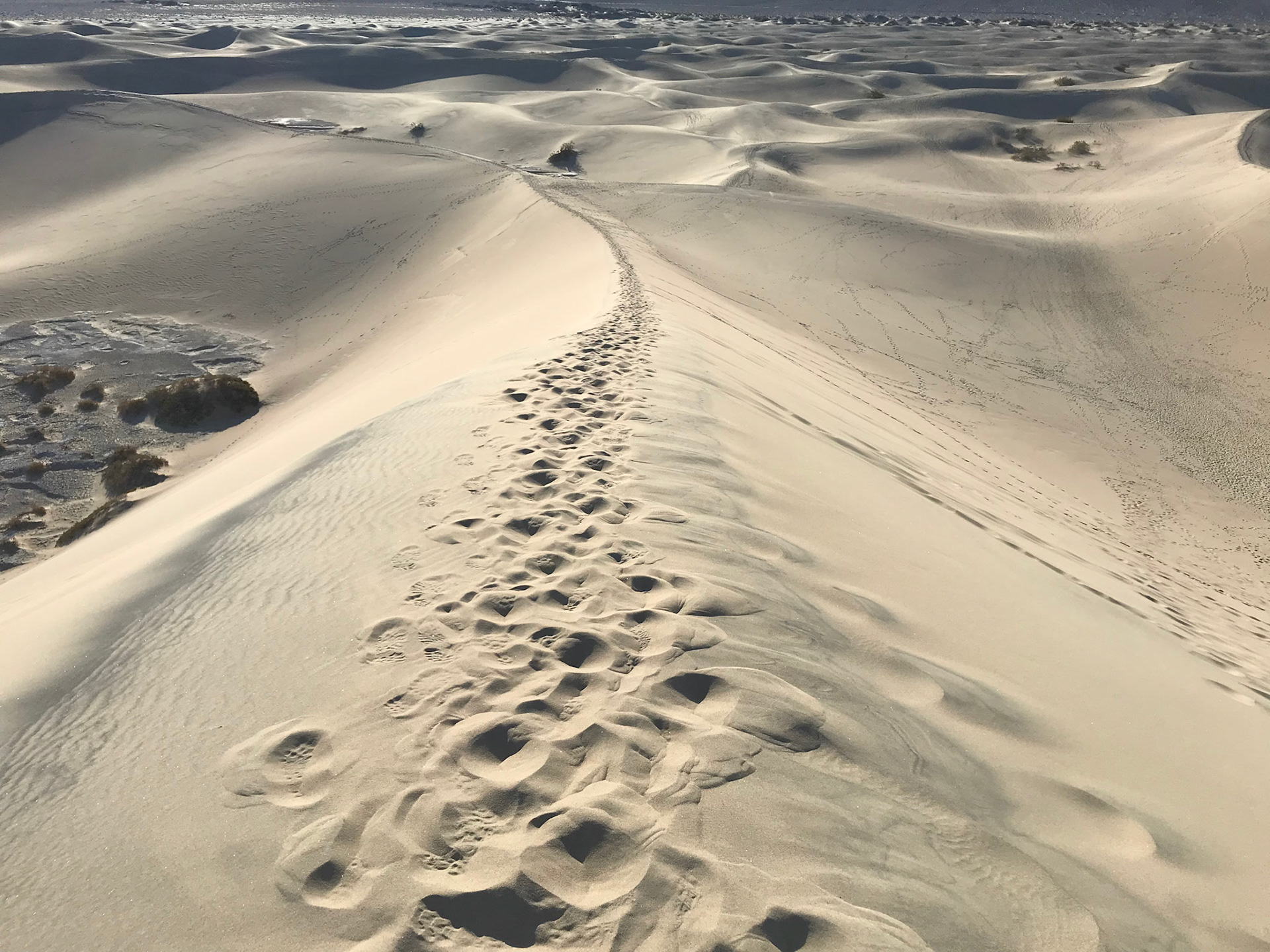 Death Valley National Park, California
