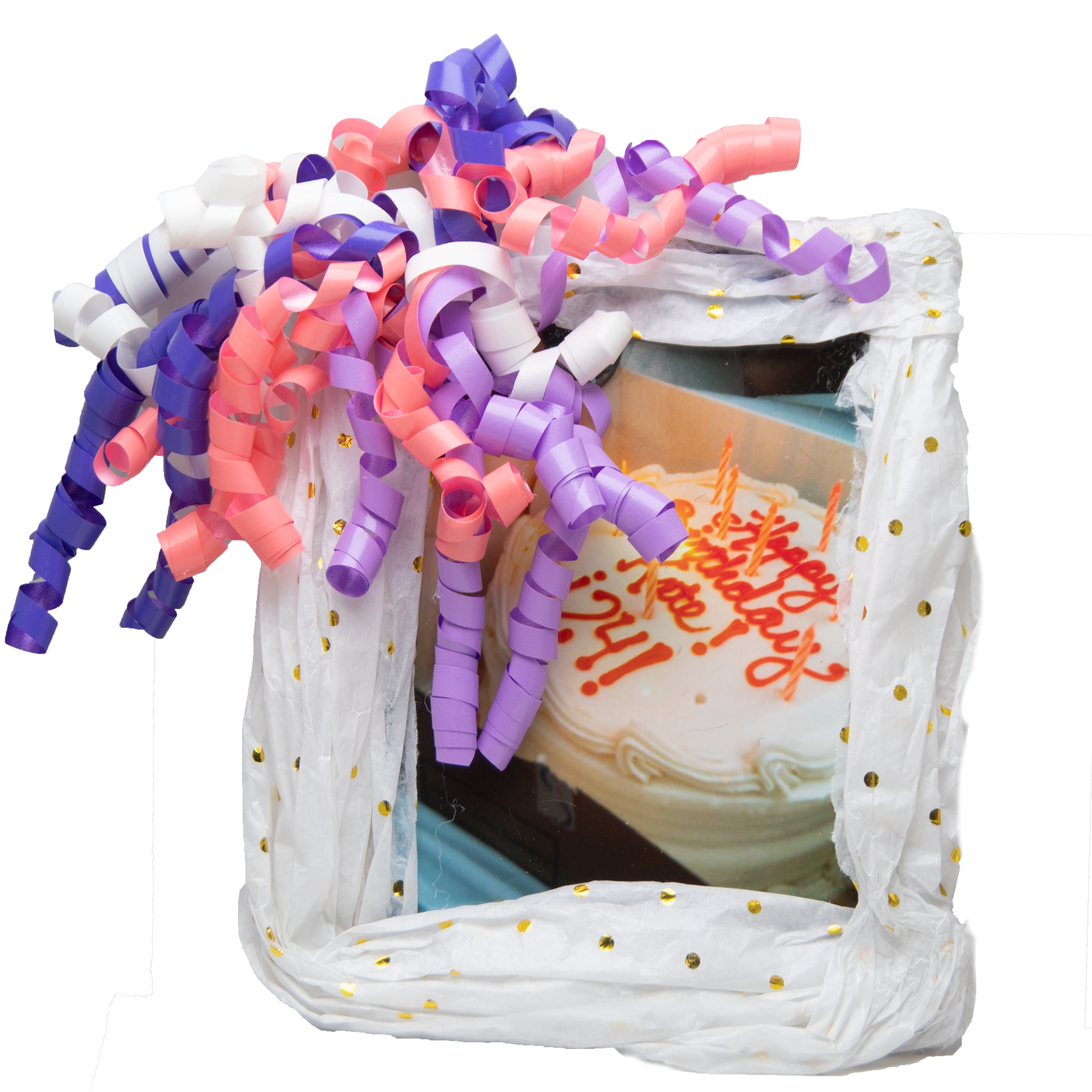 kate's birthday picnic at tompkins sq park