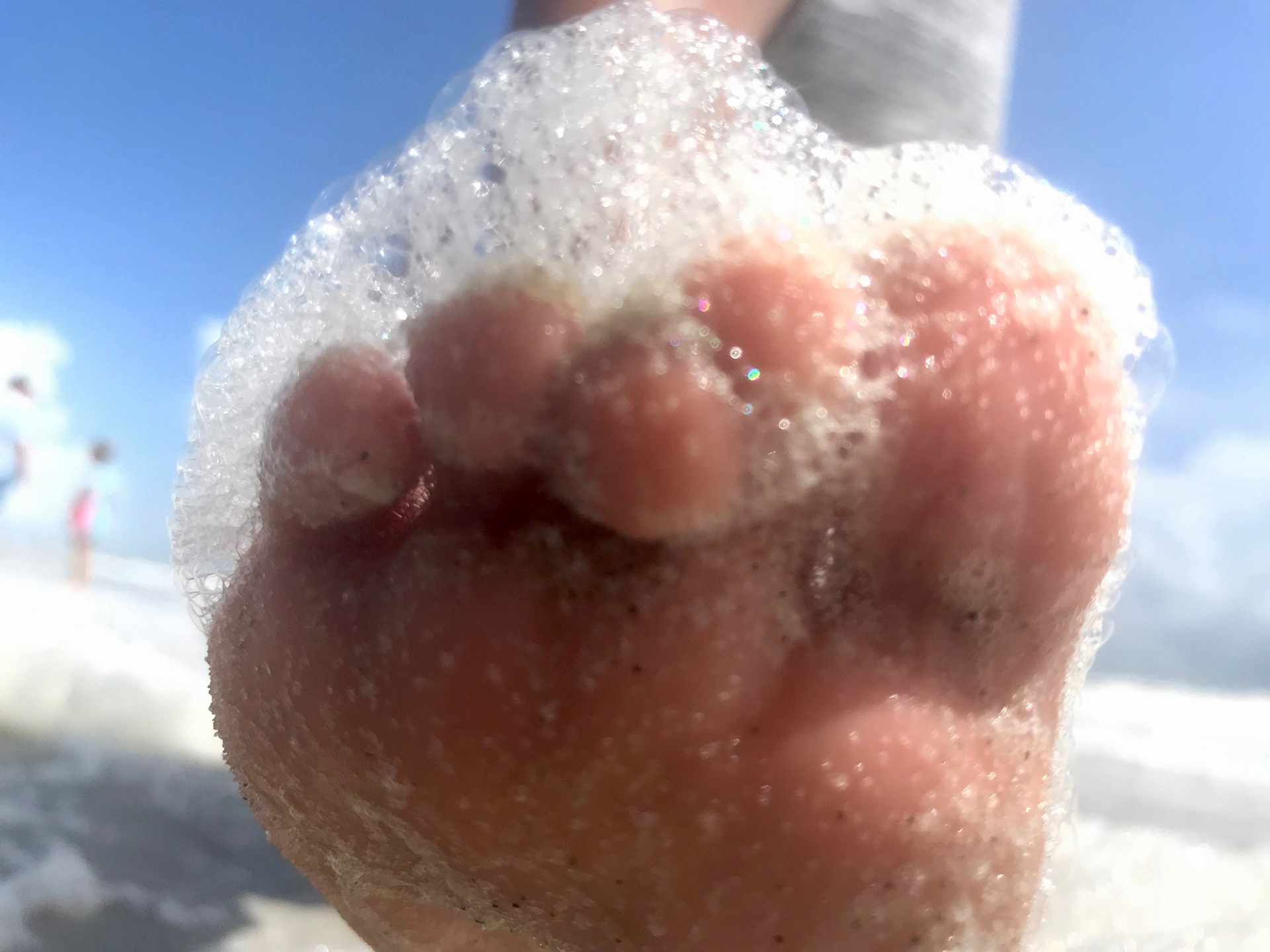 Sea Suds