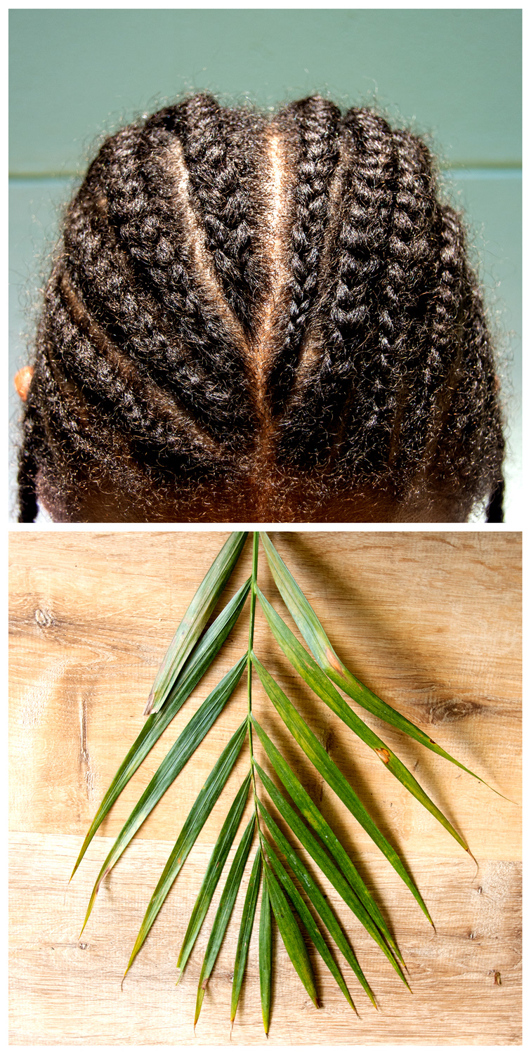 Natural Patterns