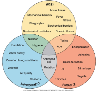 Instructional Designer's (ID) example