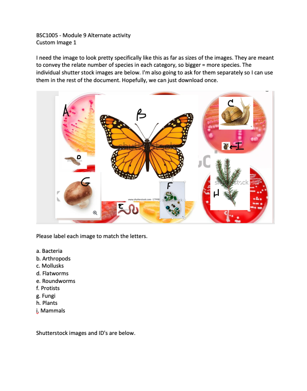 ID's Graphic Example