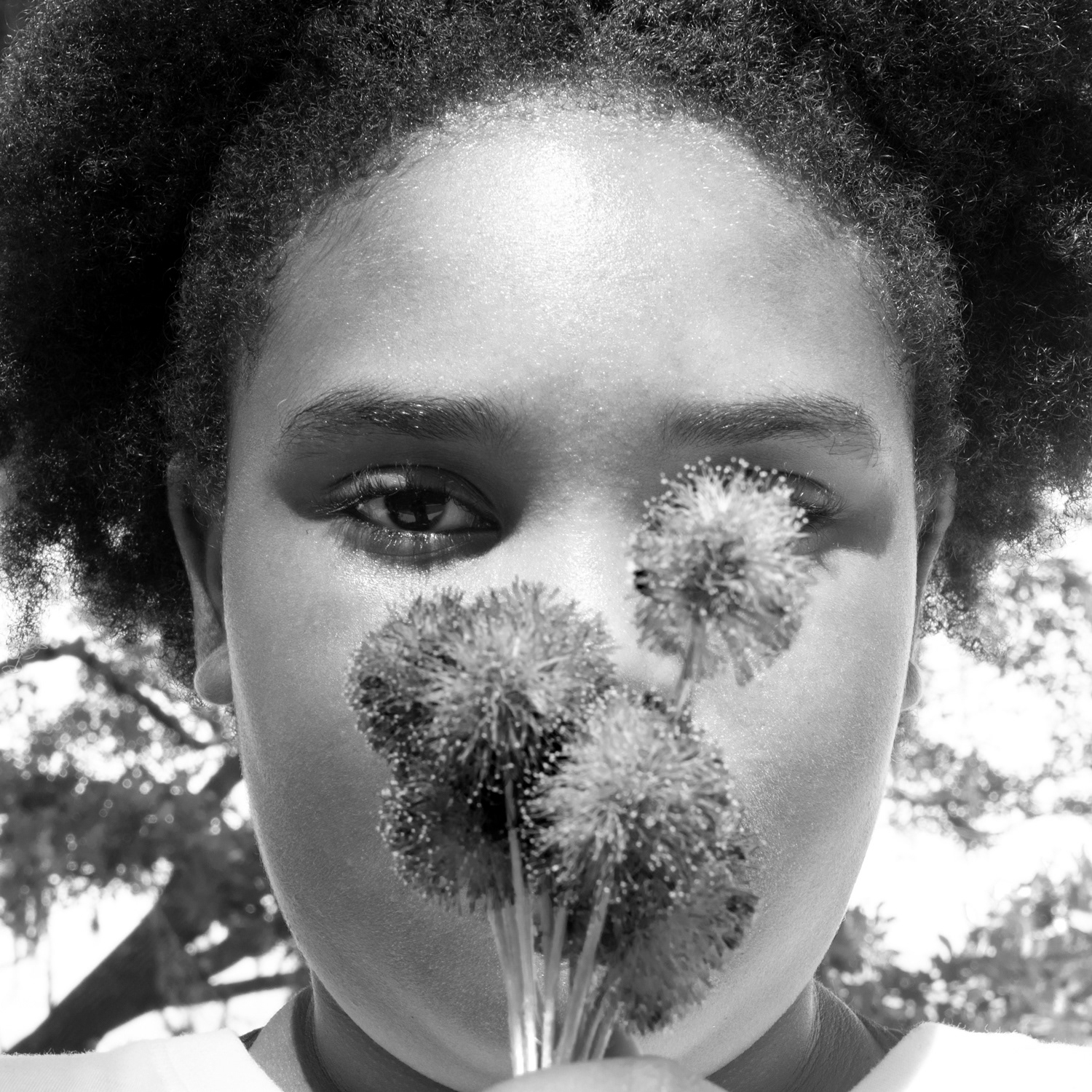 Eye Spy