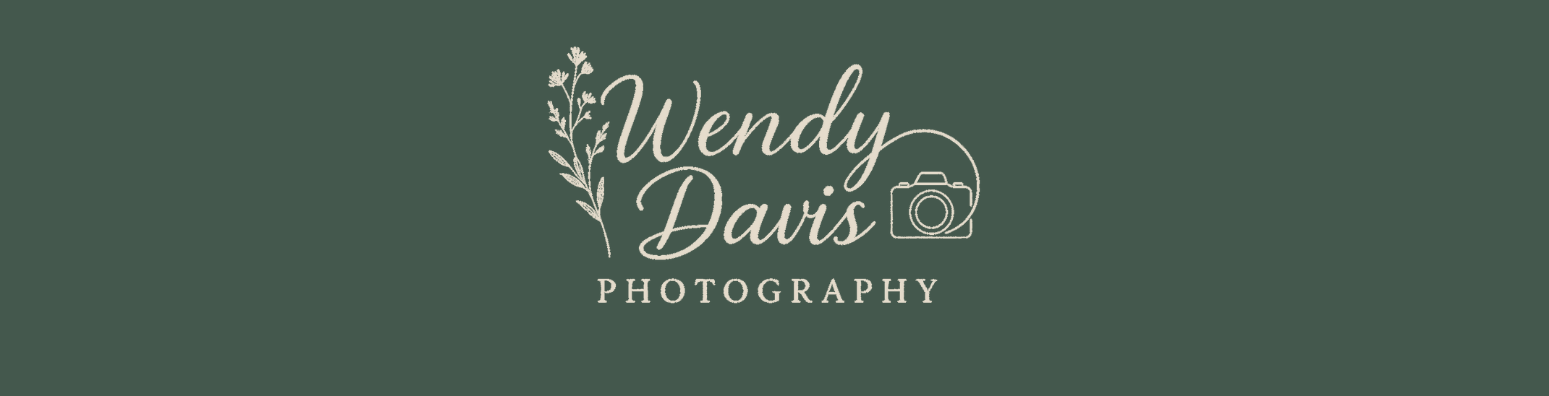 wendy davis