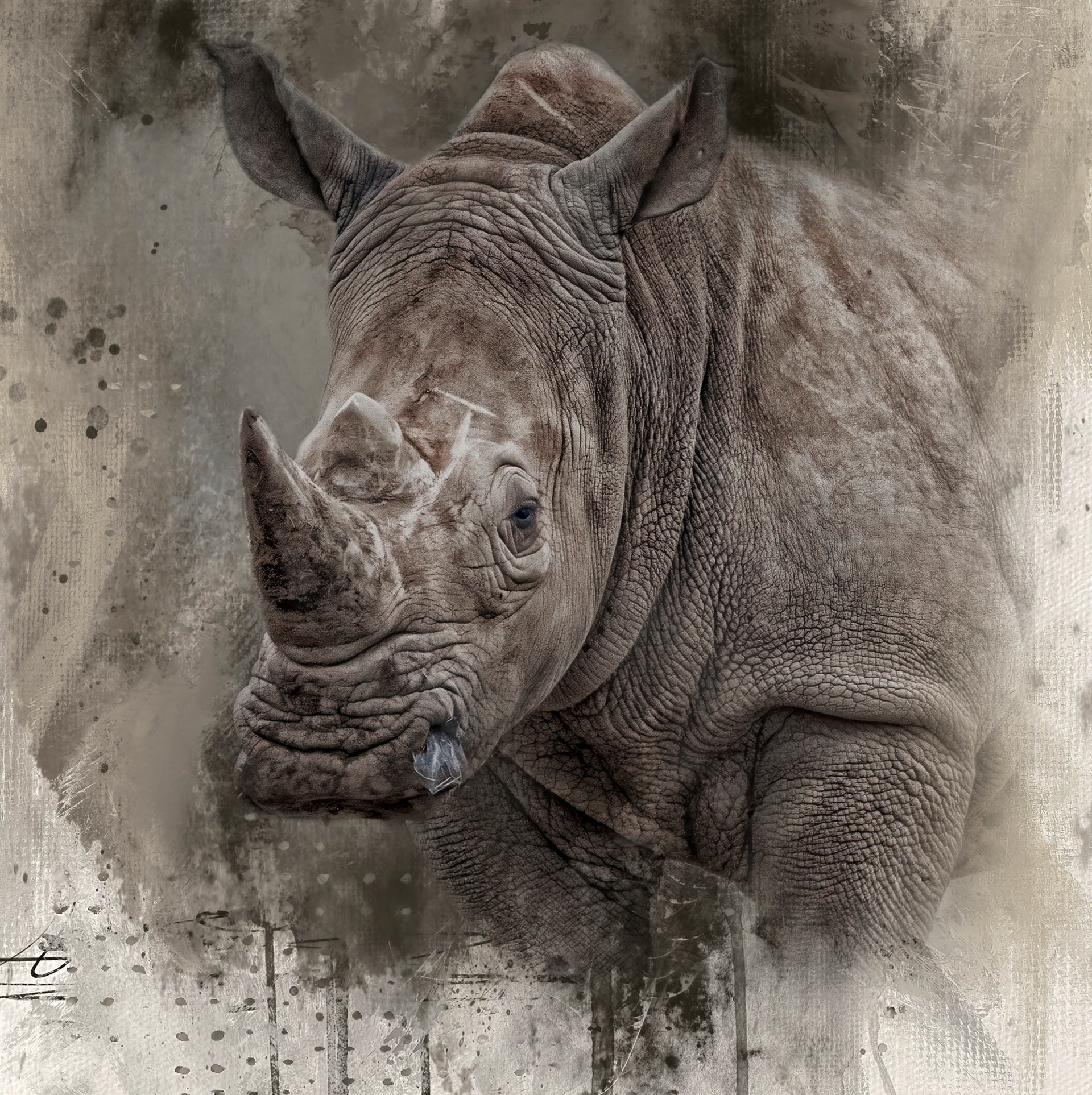 Spirit of the Rhino