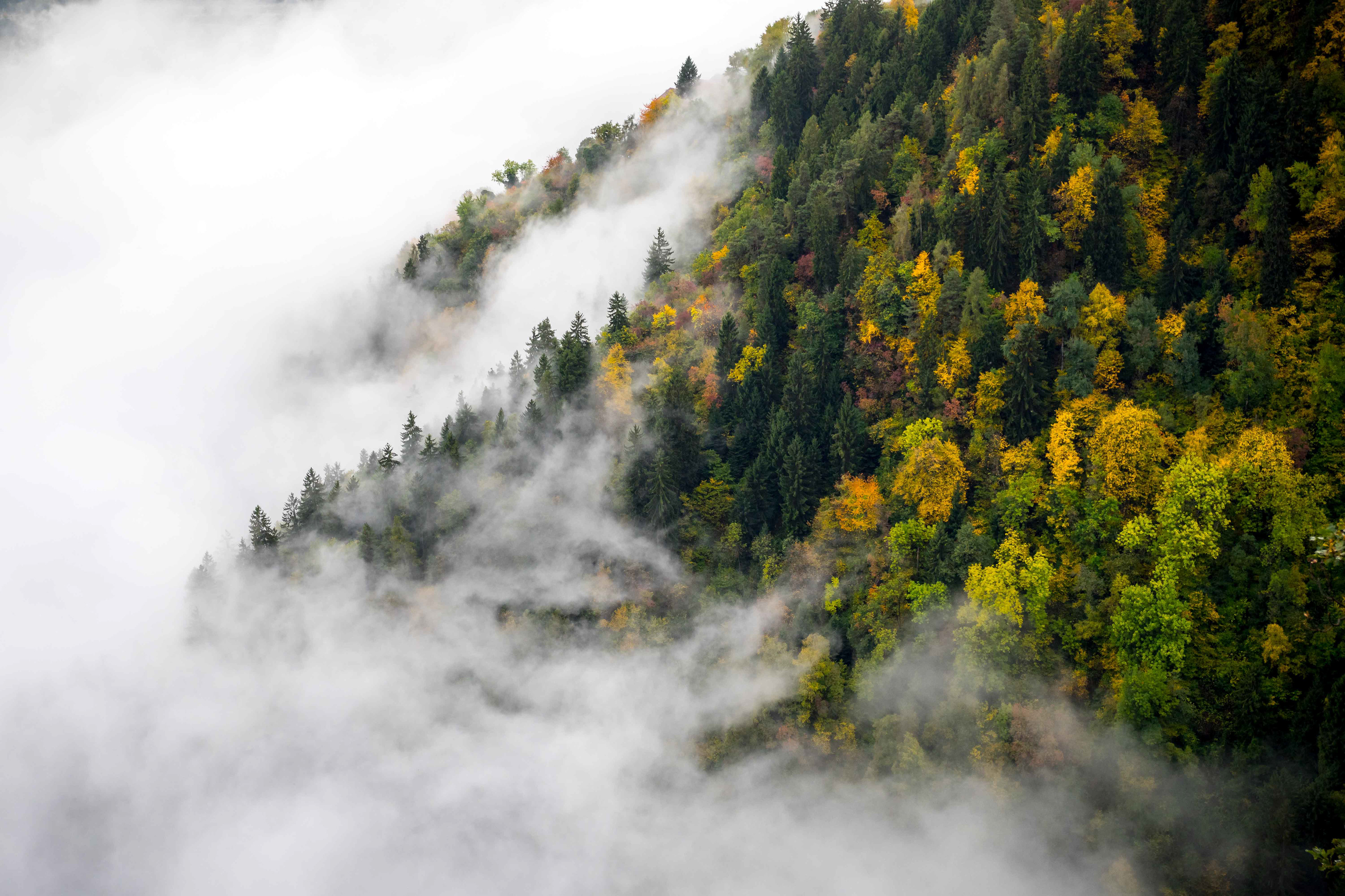 South Tyrol, Italy - CODE: 007