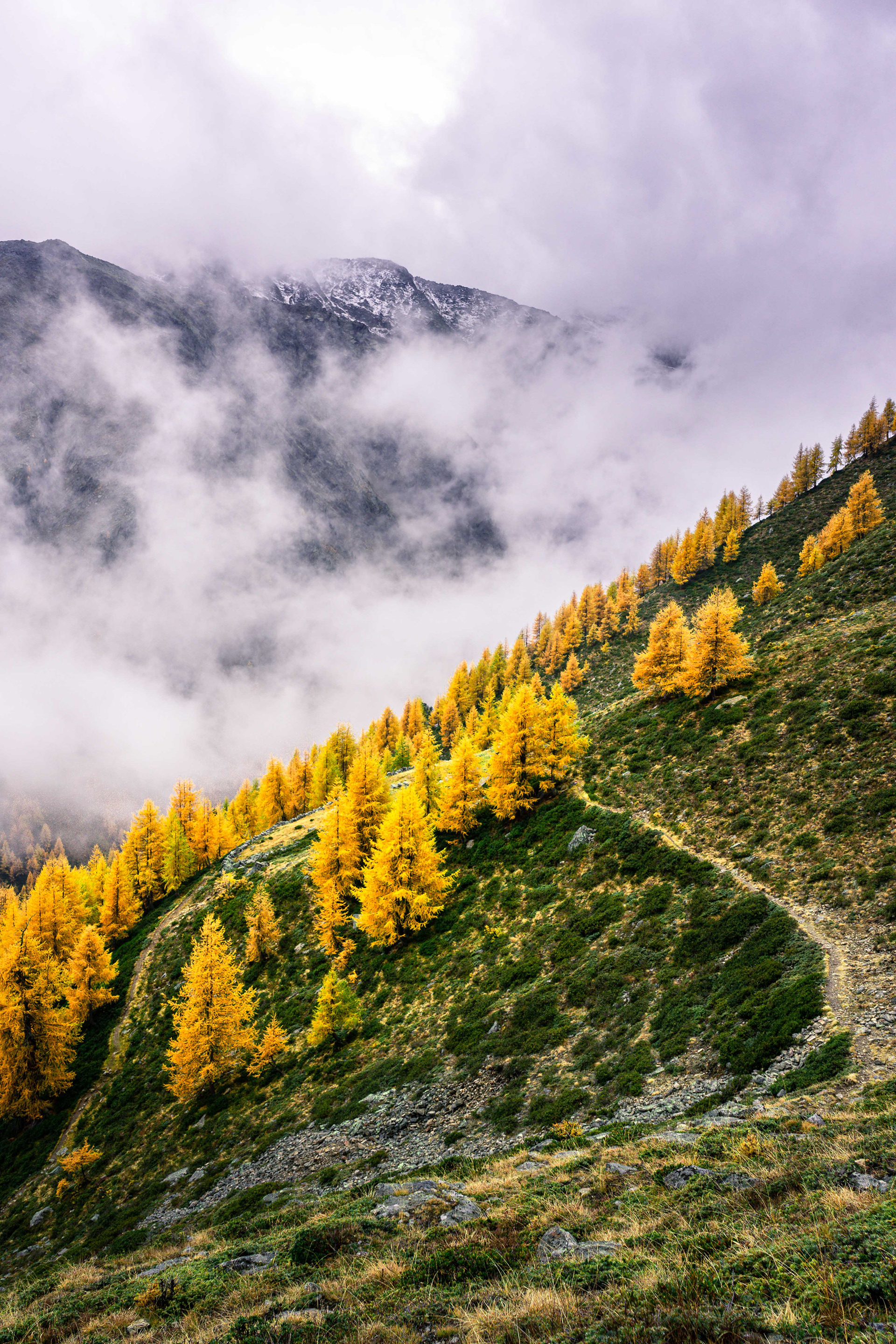 South Tyrol, Italy - CODE: 004