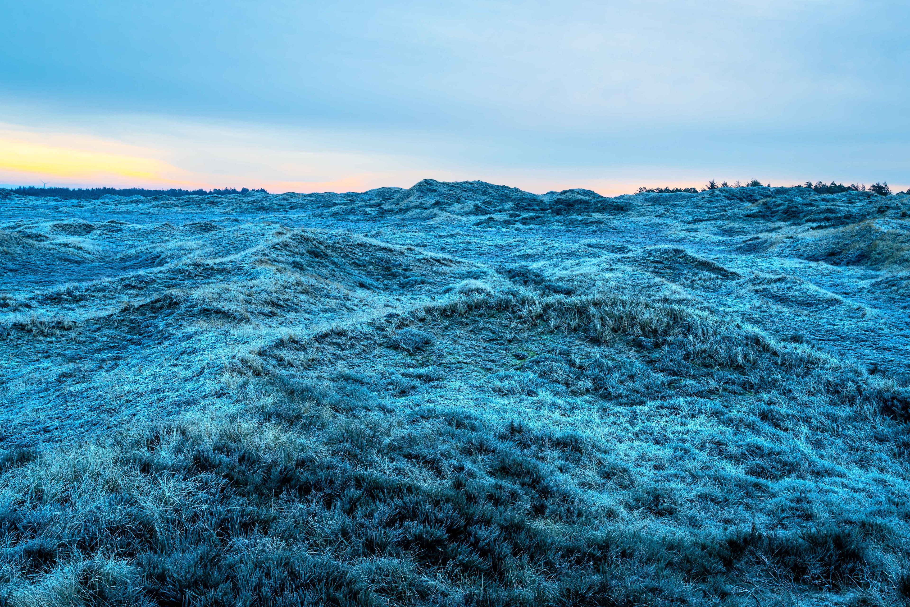 Thy National Park, Denmark