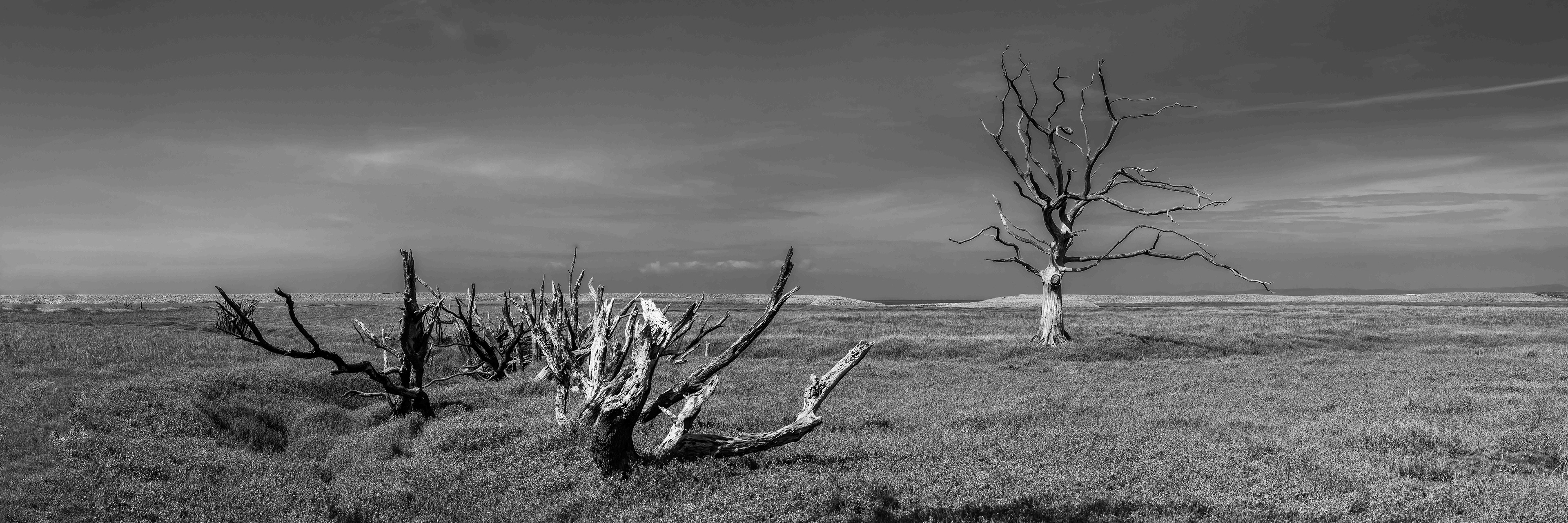 Exmoor National Park, England - CODE: 008
