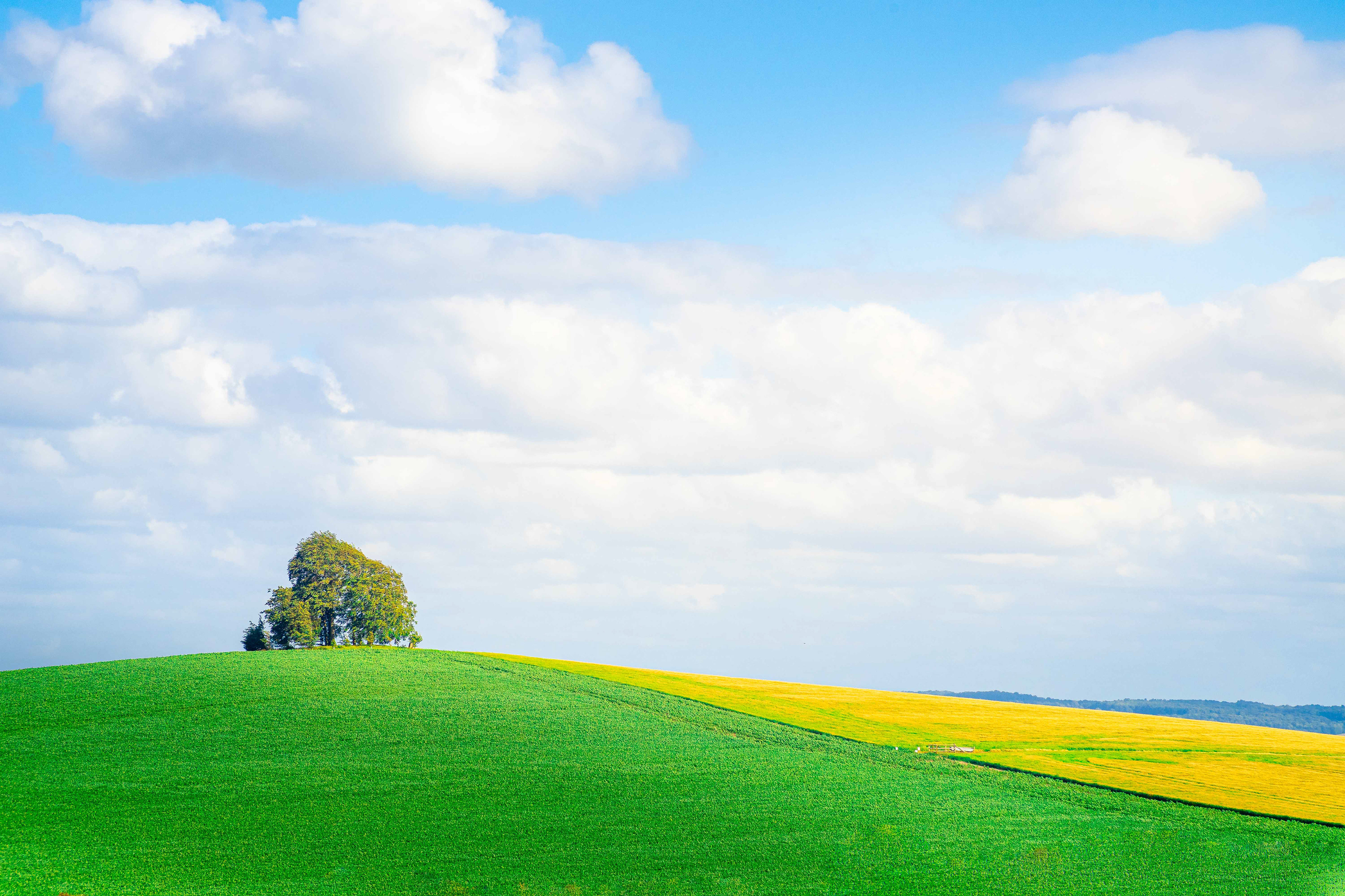 Field, England