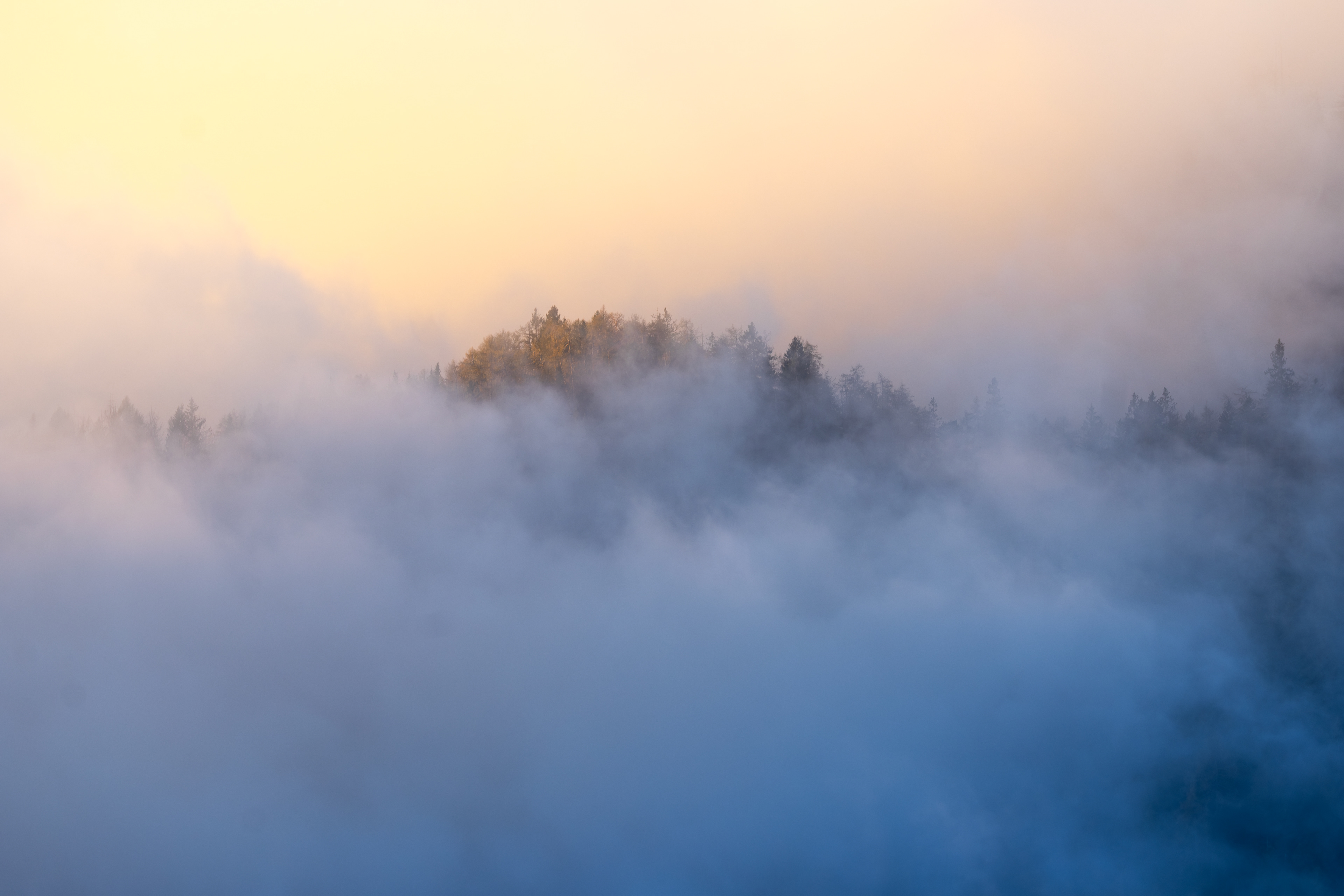 South Tyrol, Italy - CODE: 2501