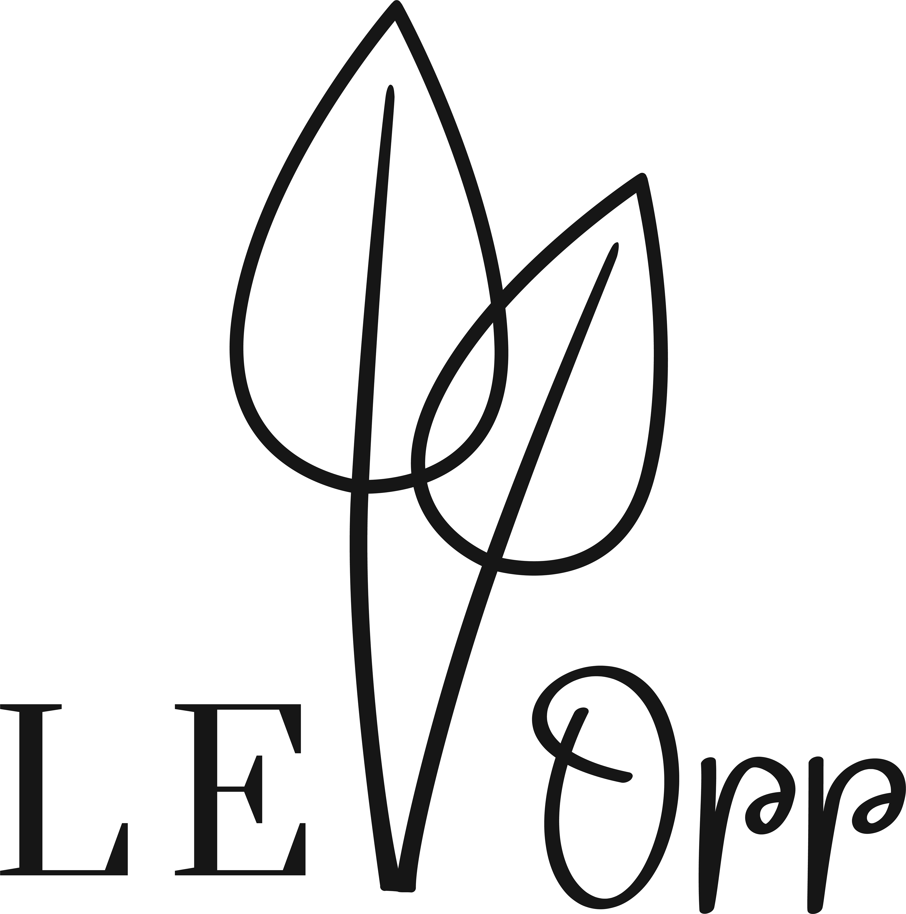 Rebranding for Lev Opp