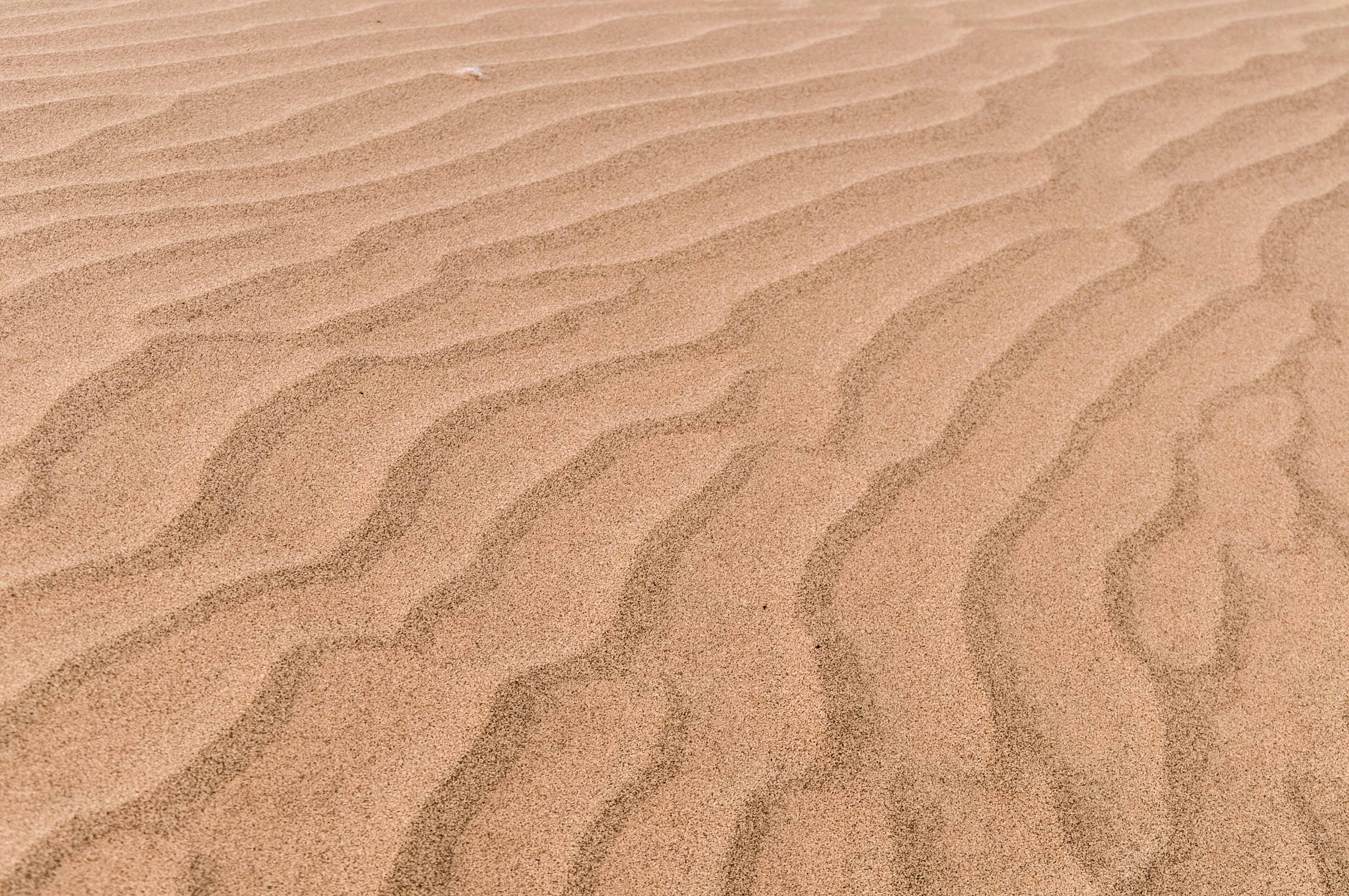 Ripples in the golden sand