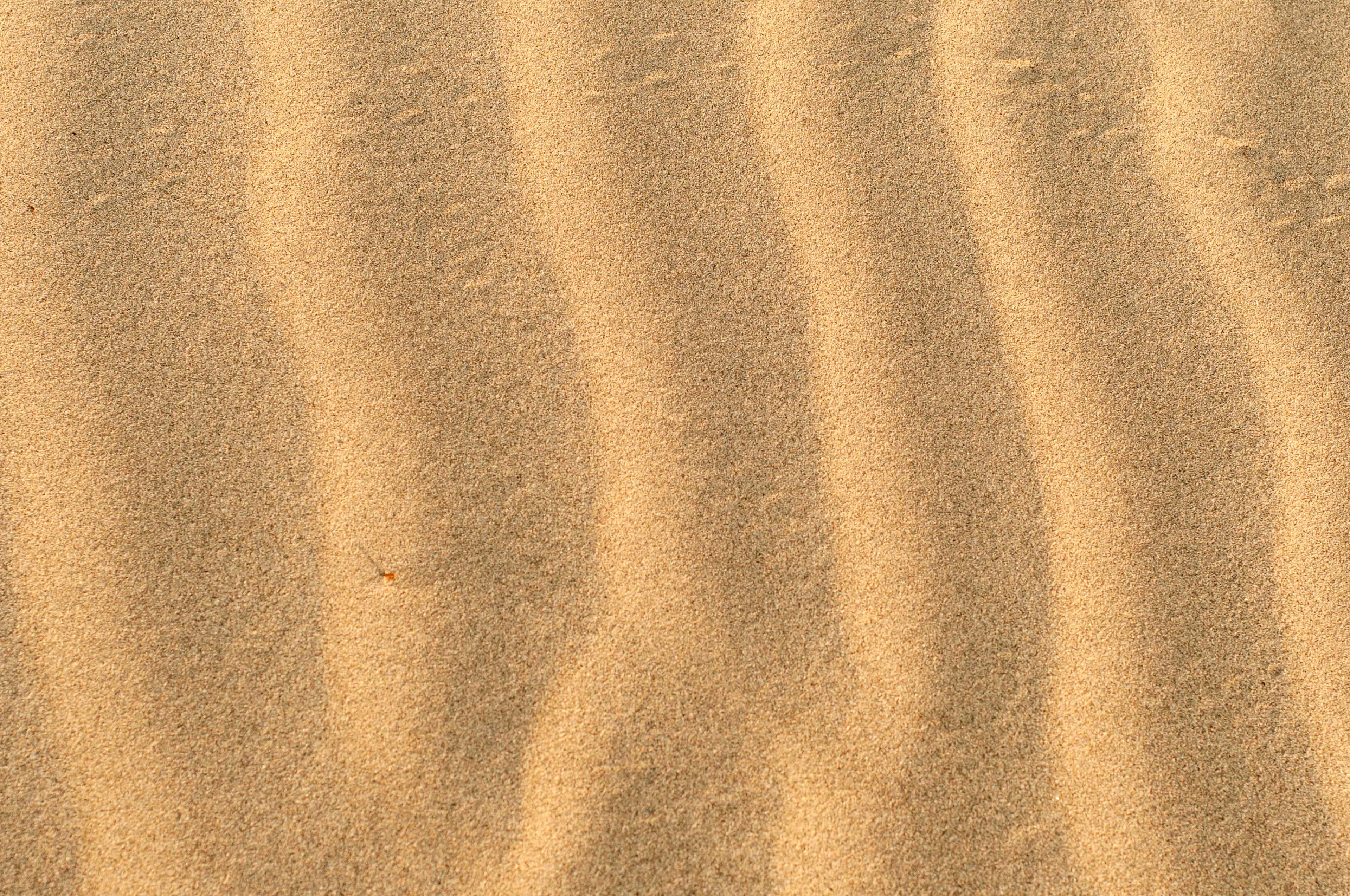 Ripple in the golden sand