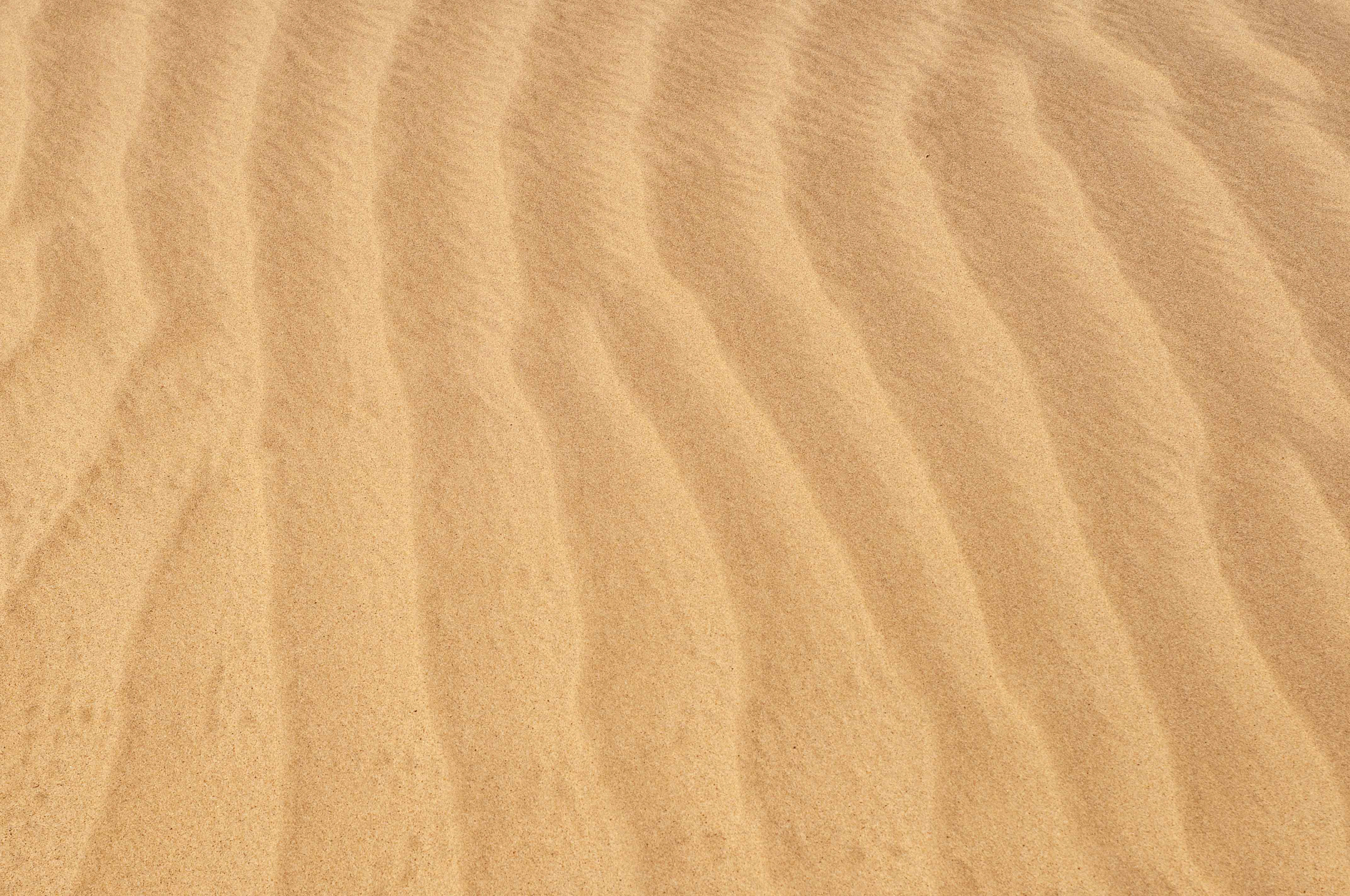 Ripple in the golden sand