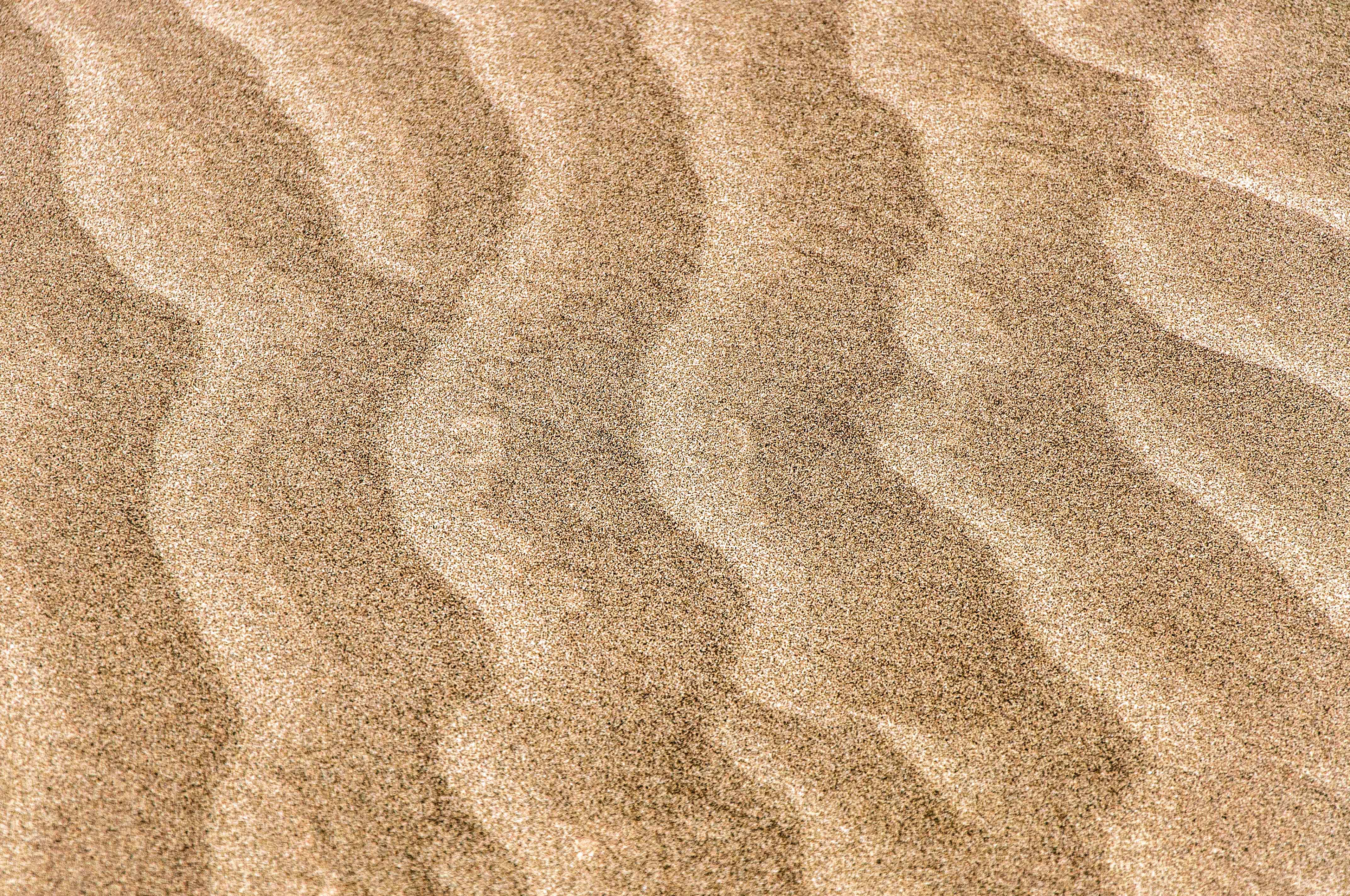 Wavy texture of sand