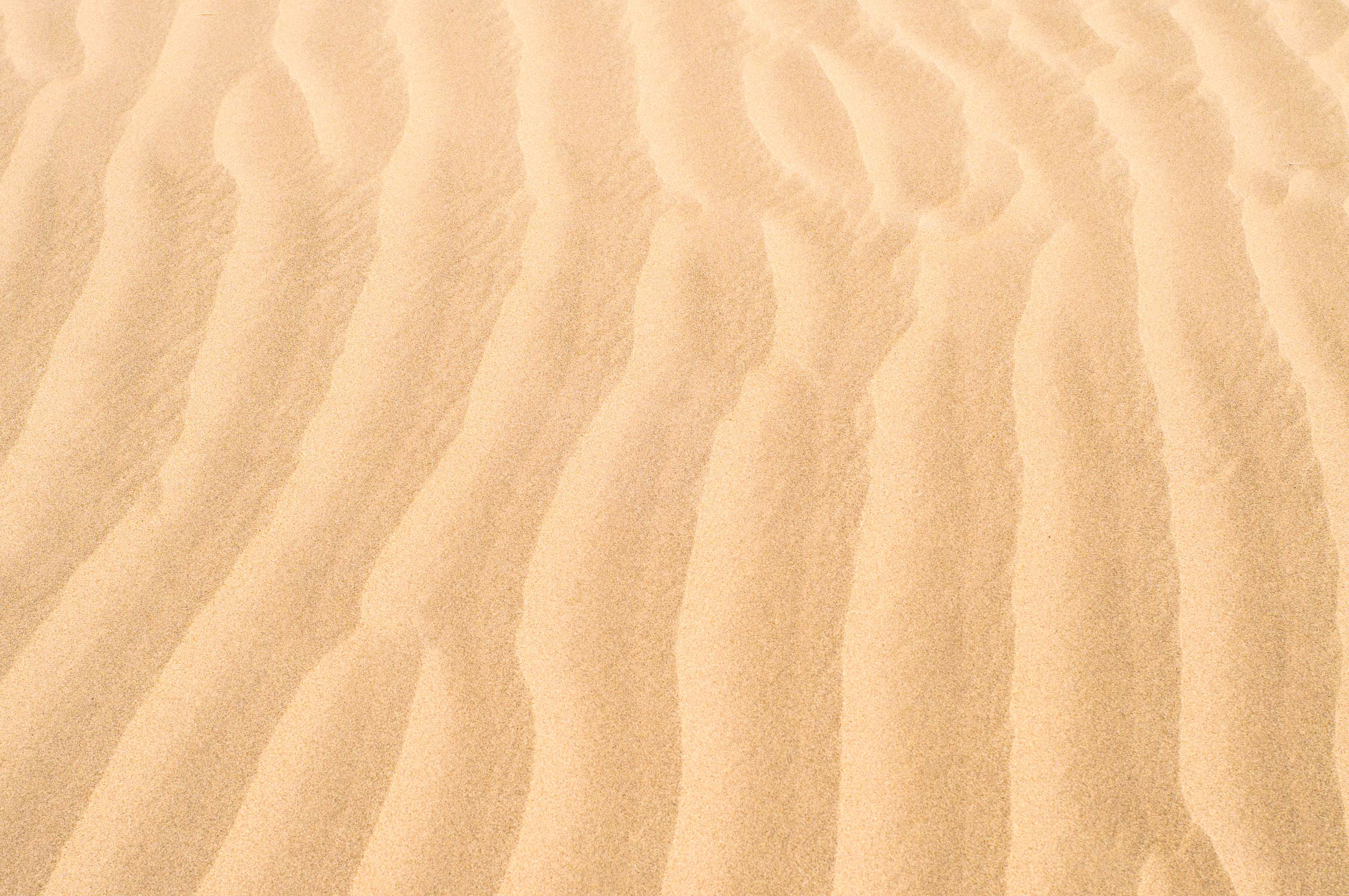 Texture of white sand