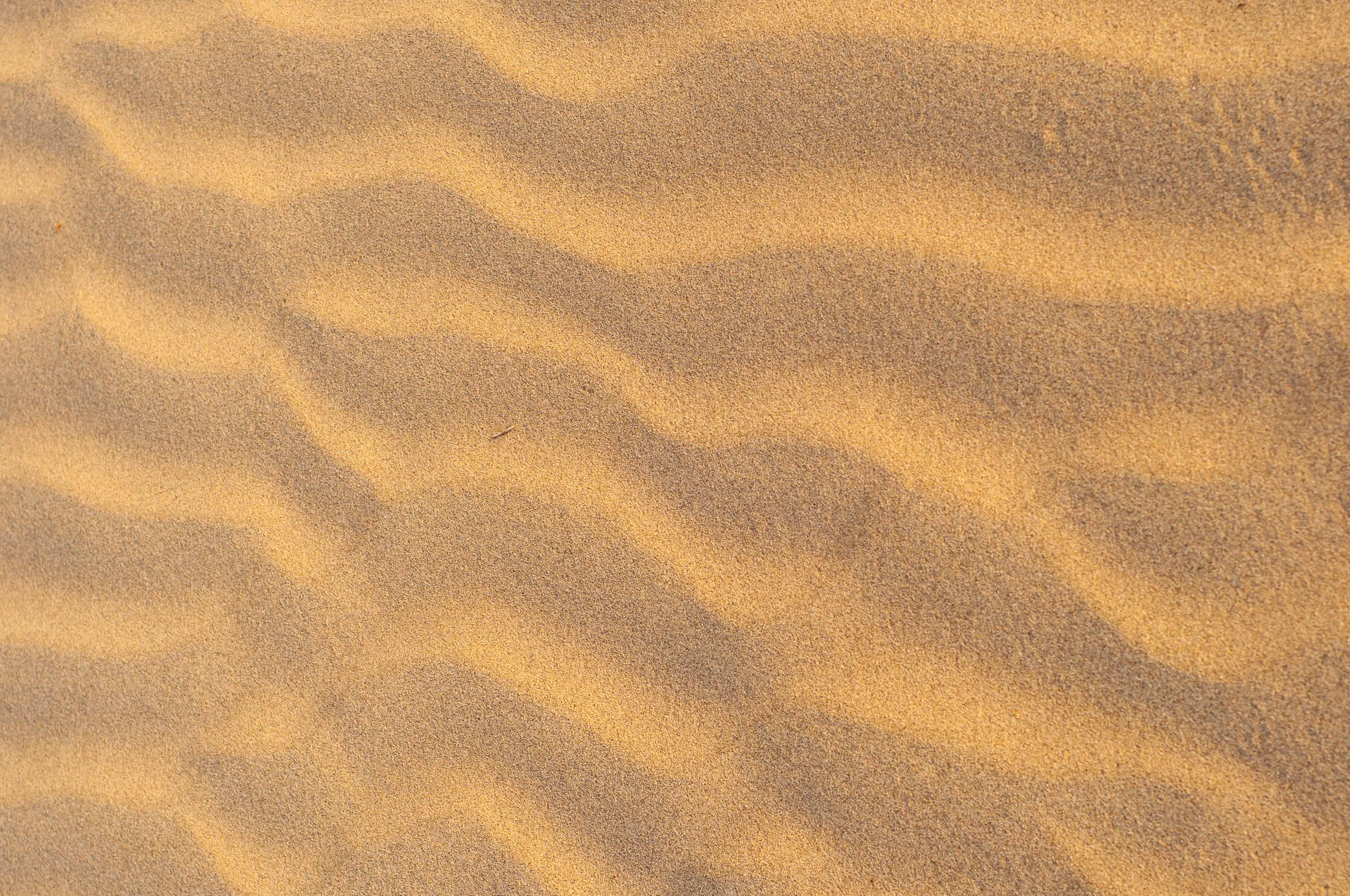 Texture of soft sand