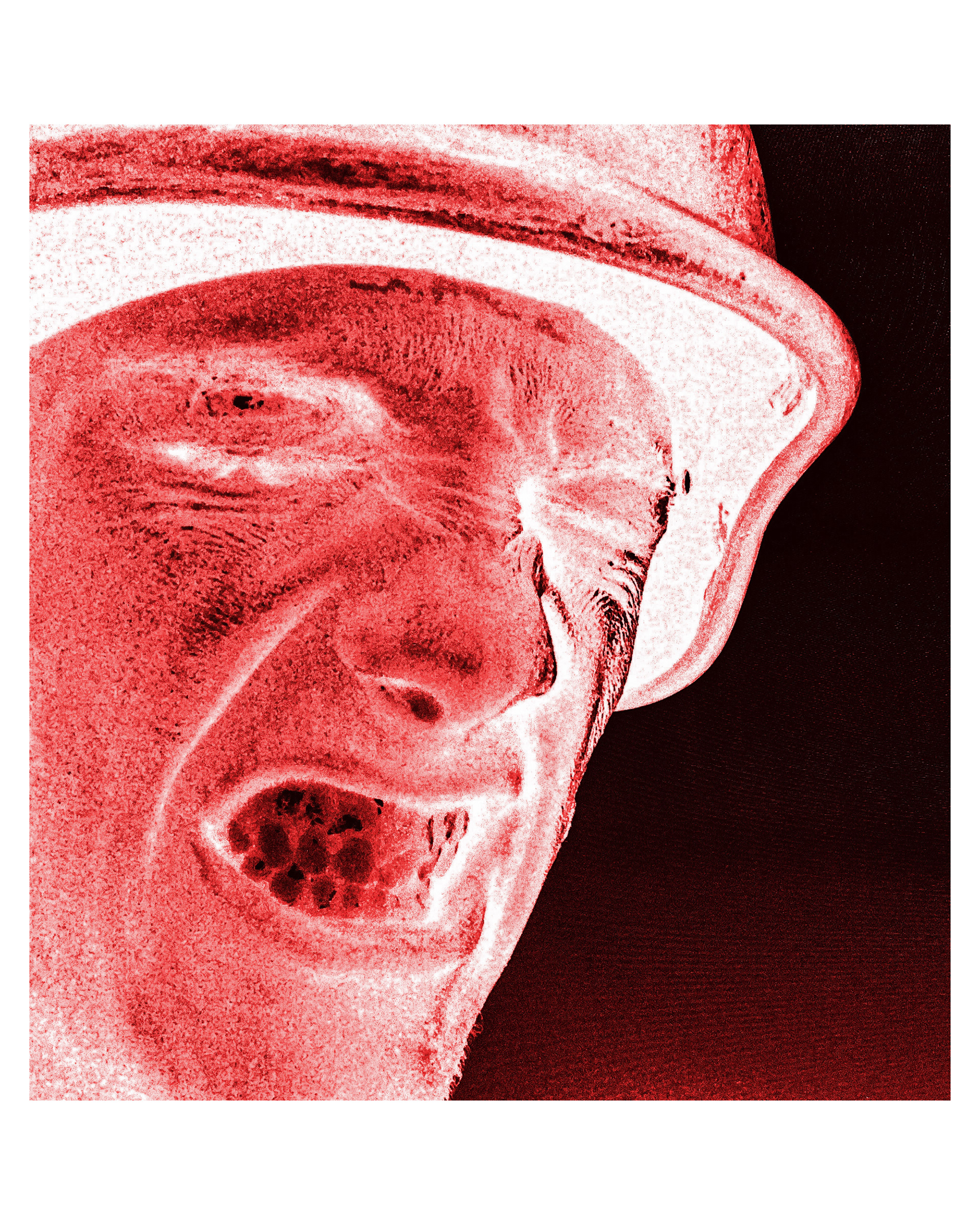 Paranoid | Digital Collage